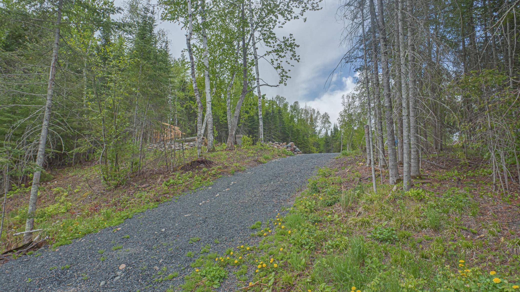 53549 Little Bear Trail, Bigfork, MN 56657