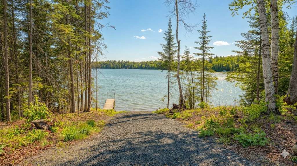 53549 Little Bear Trail, Bigfork, MN 56657