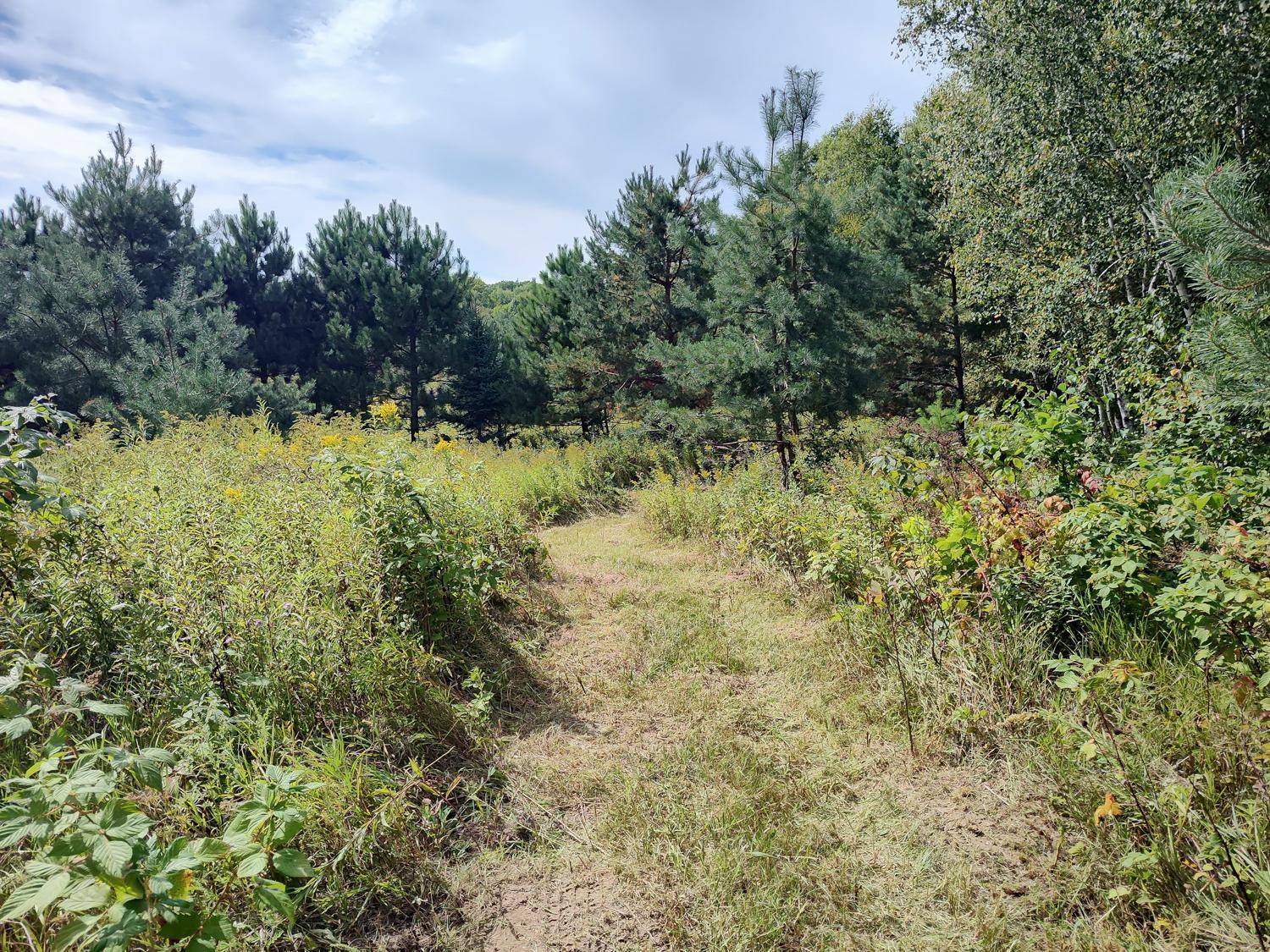LOT 2 211th ST, Centuria, WI 54824