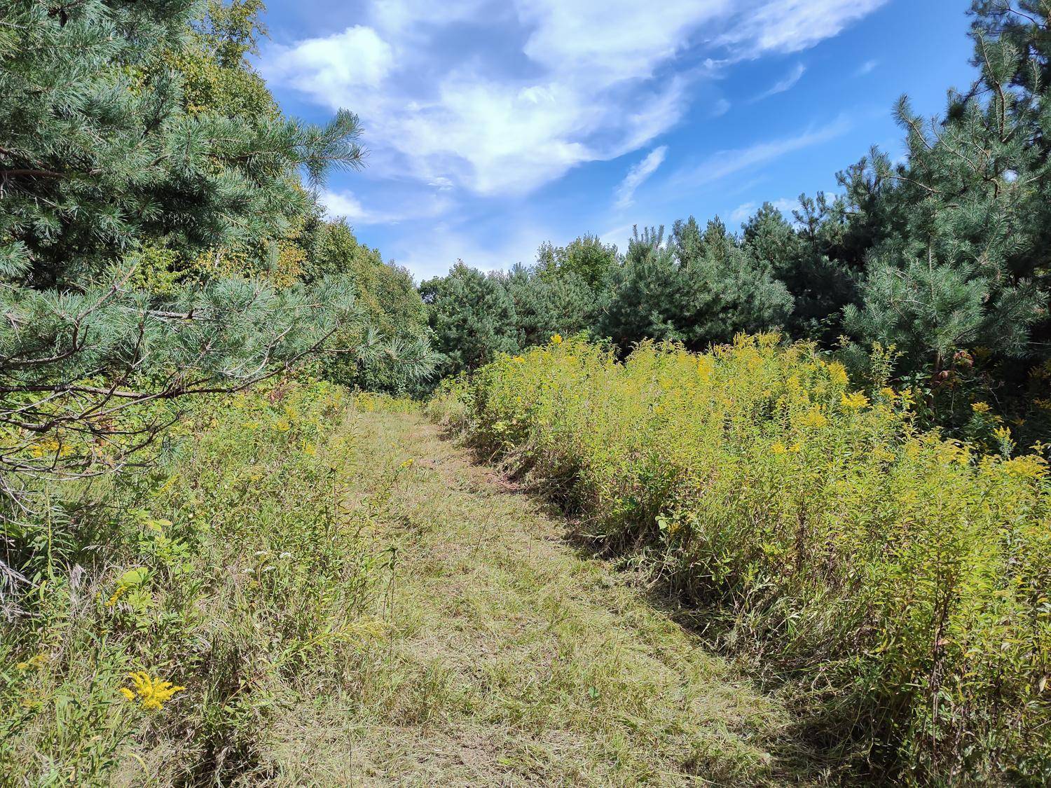 LOT 2 211th ST, Centuria, WI 54824