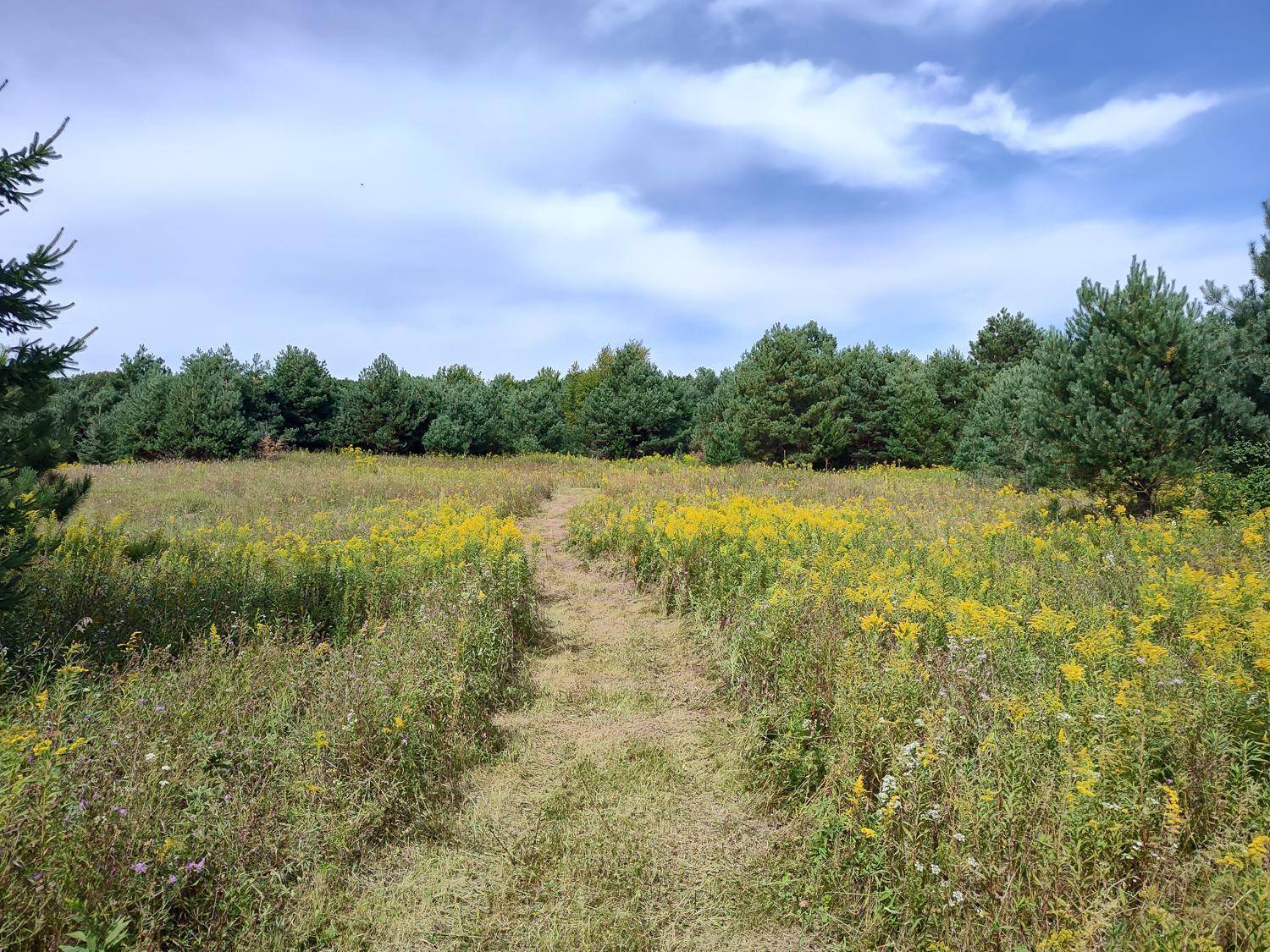 LOT 2 211th ST, Centuria, WI 54824