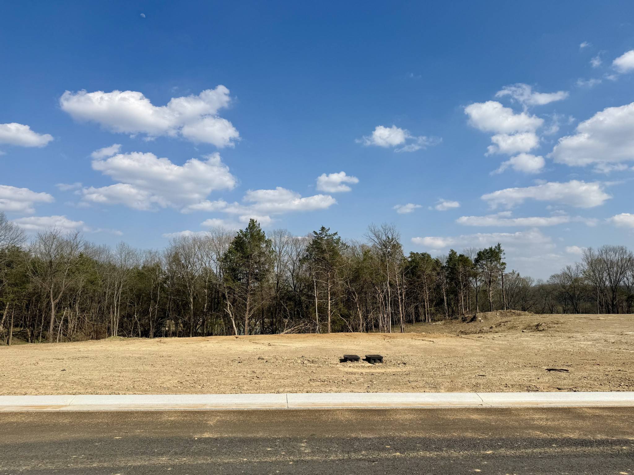 6104 St Charles, Arrington, TN 37014