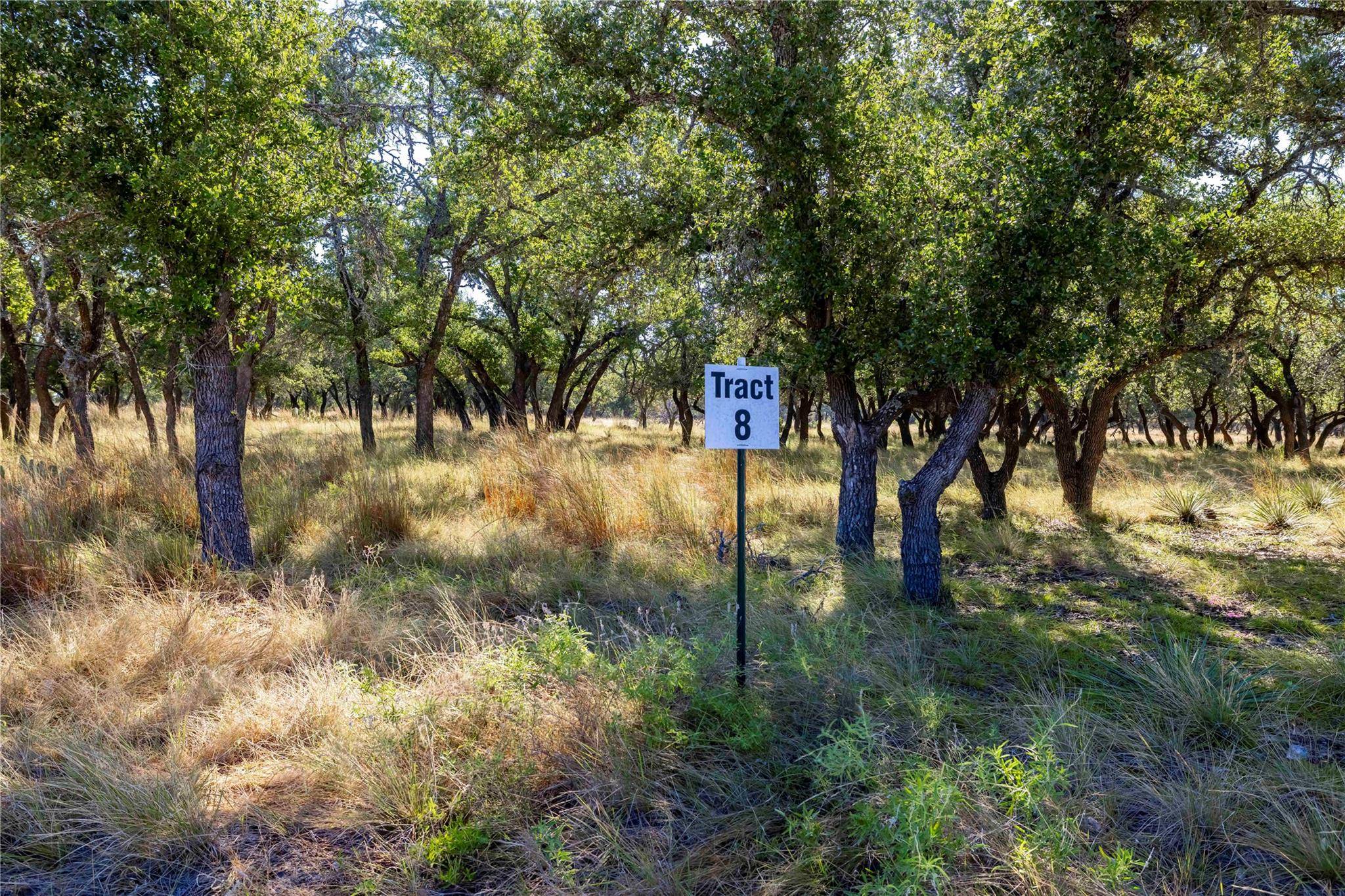 TBD Legacy Oaks DR, Harper, TX 78631