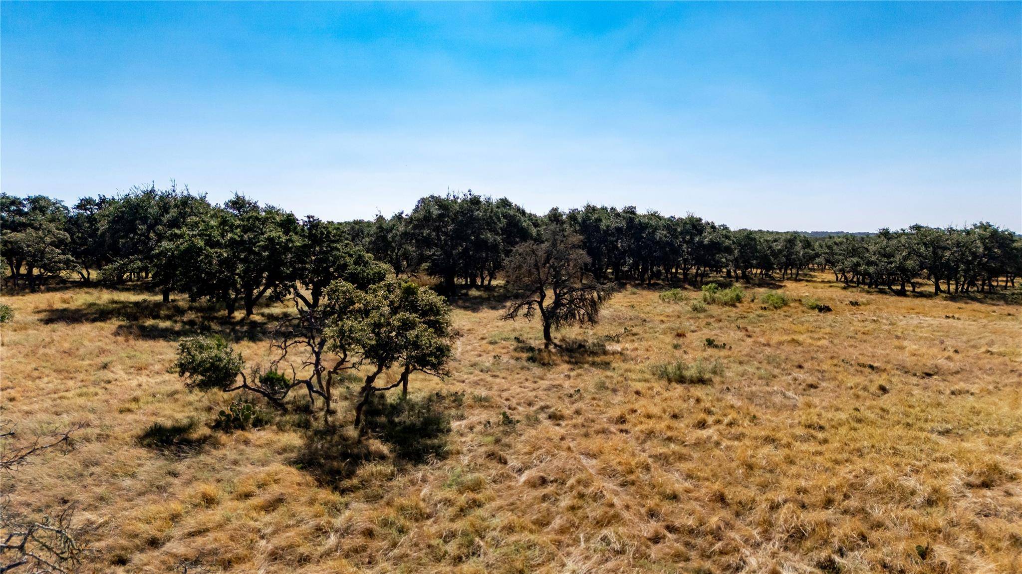 TBD Legacy Oaks DR, Harper, TX 78631