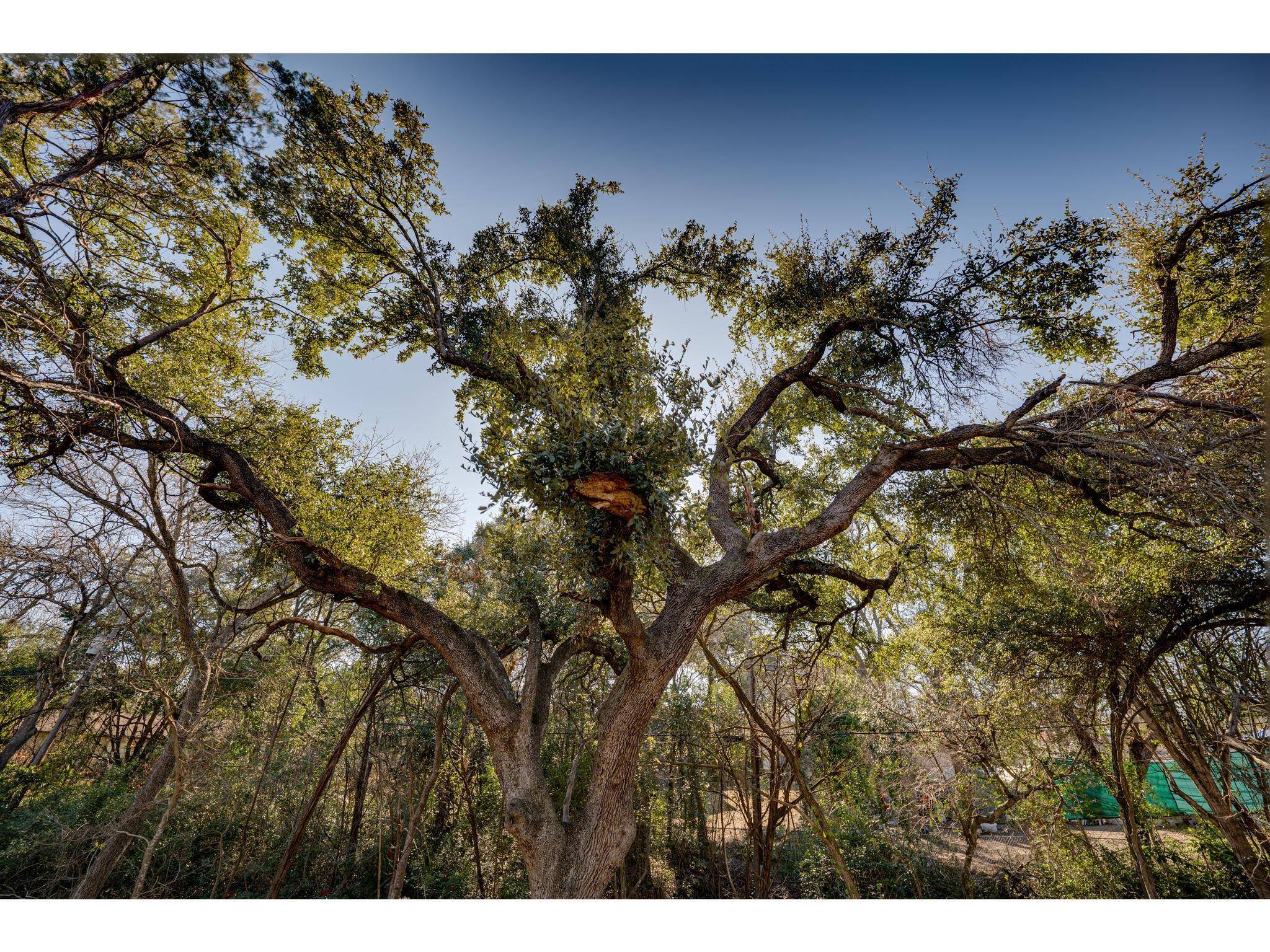 Address not disclosed, Austin, TX 78753