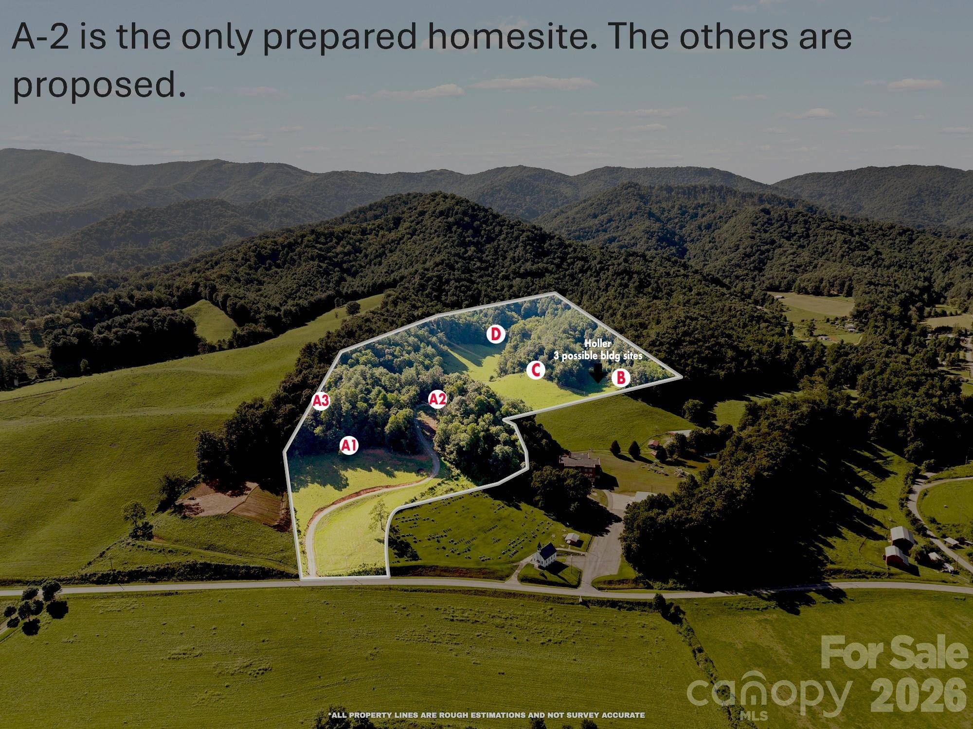 411 Big Sandy Mush RD, Leicester, NC 28748