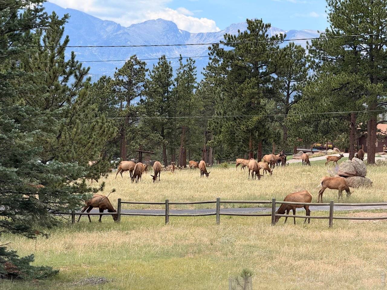 1041 Otis, Estes Park, CO 80517