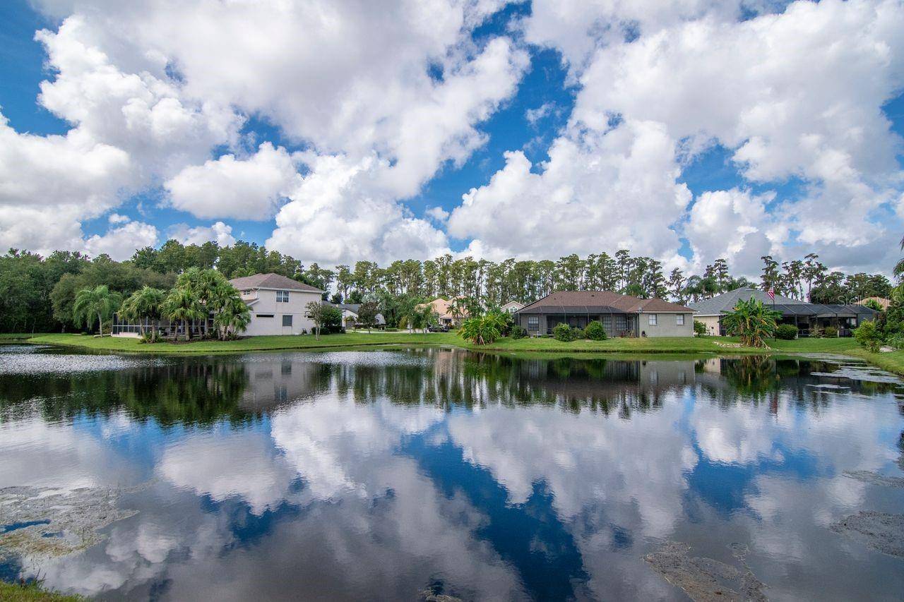 21228 MARSH HAWK DR, Land O Lakes, FL 34638