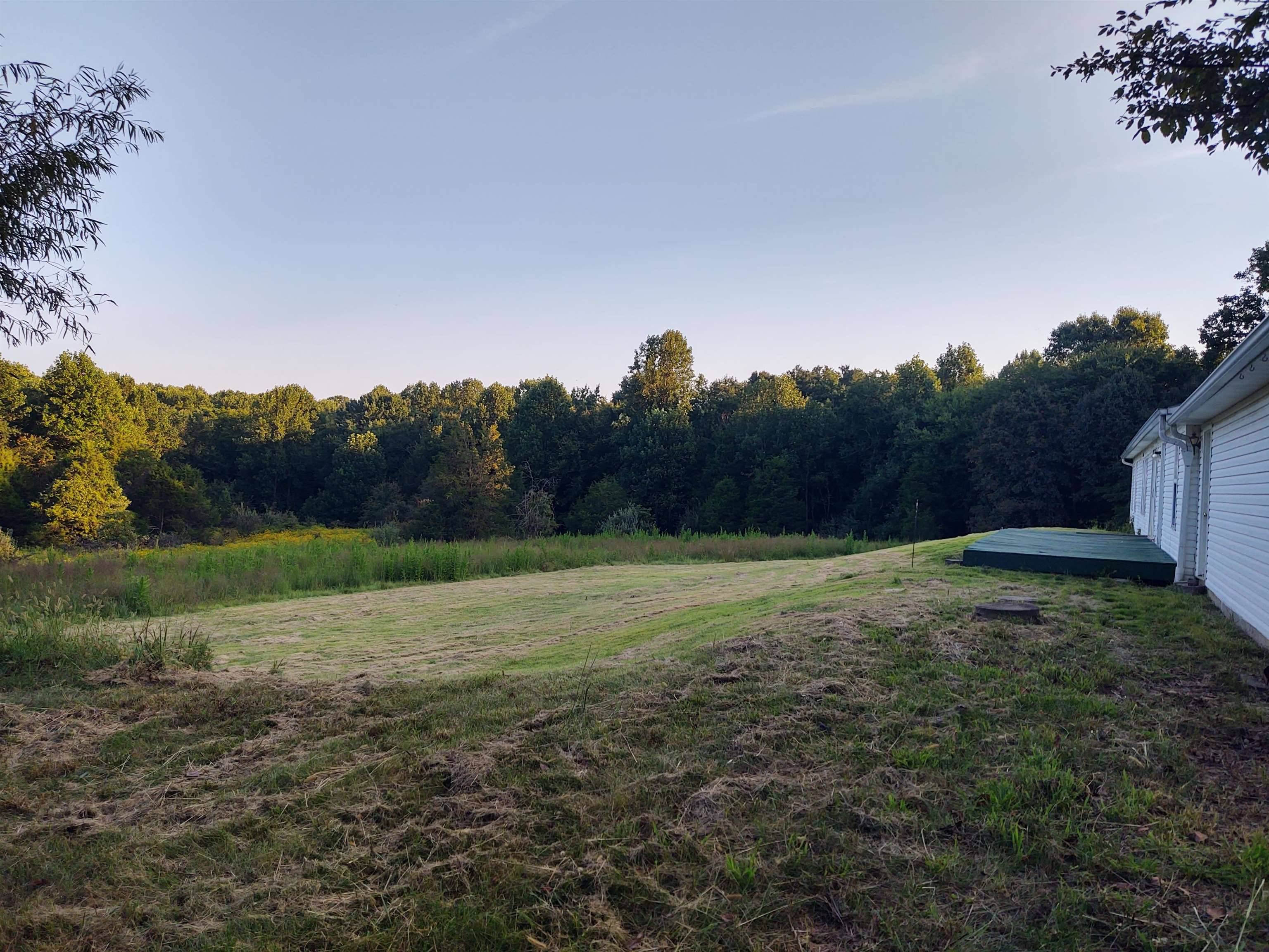 923 Ozark RD, Ozark, IL 62972