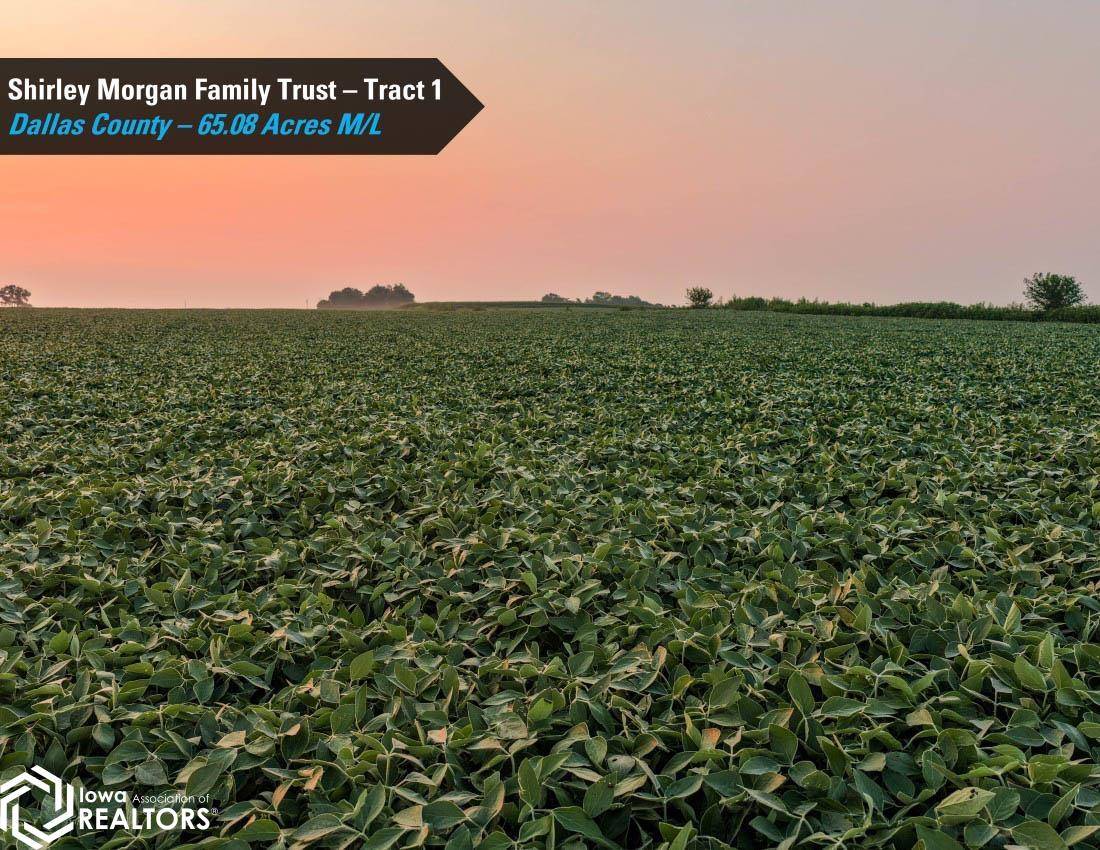 205th ST, Dallas Center, IA 50063