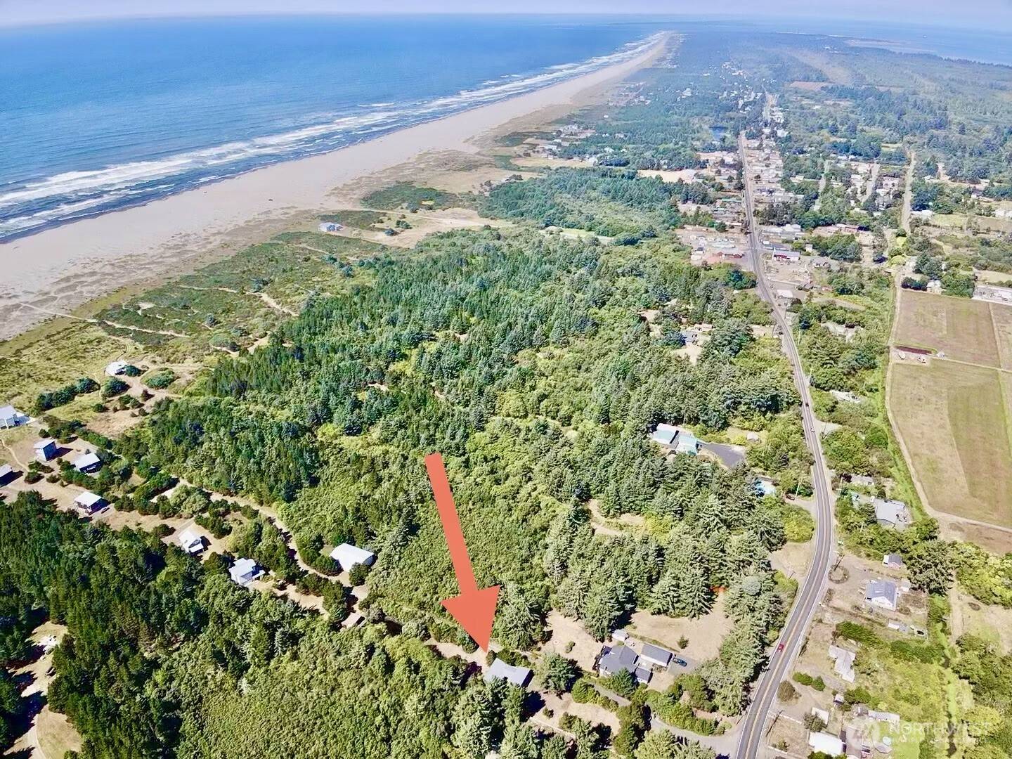 813 Salmonbery Beach, Grayland, WA 98547