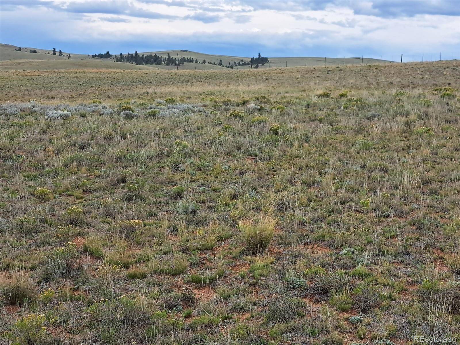 0000 Kiowa RD, Hartsel, CO 80449