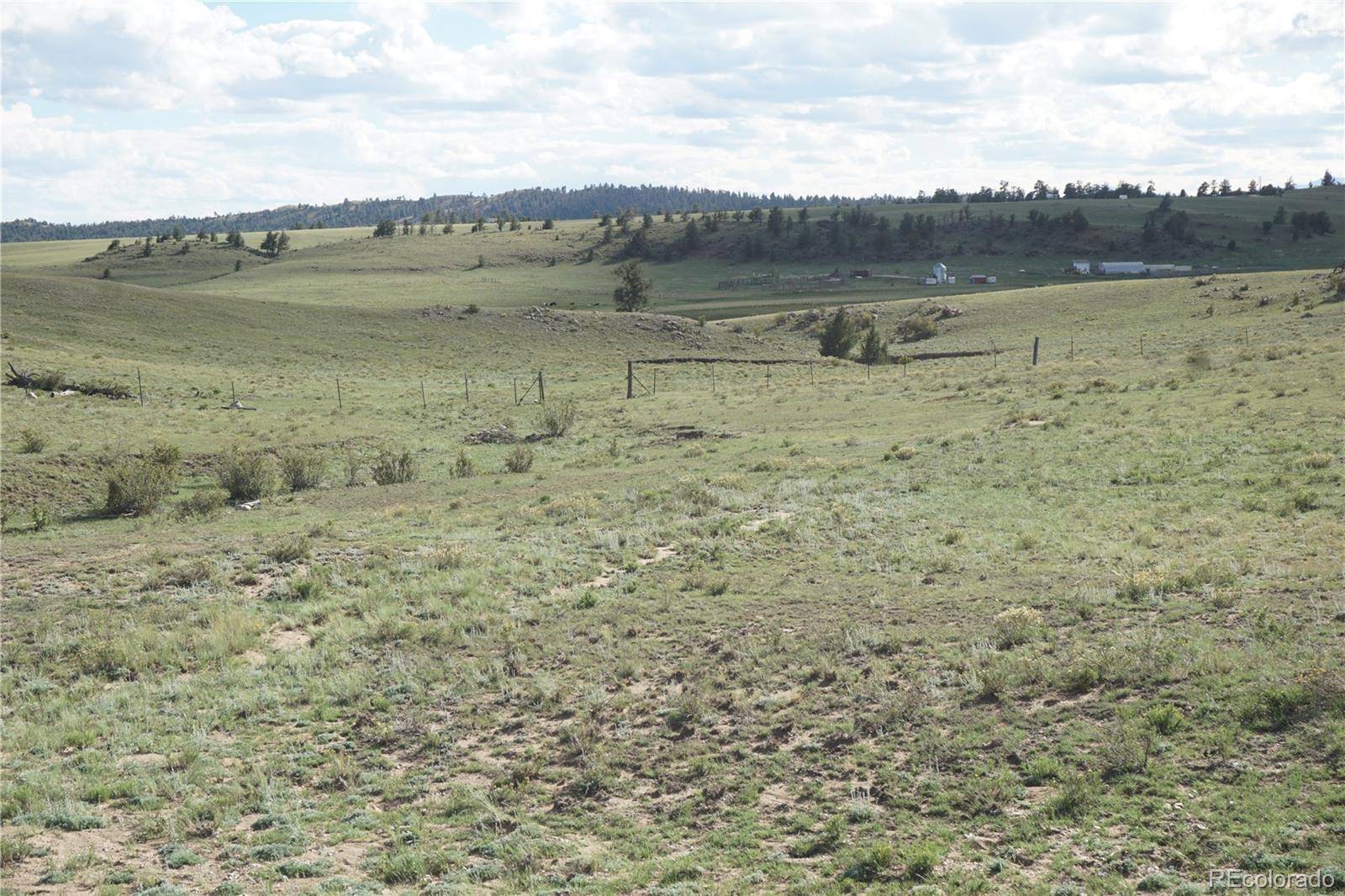 1022 Walls ST, Hartsel, CO 80449