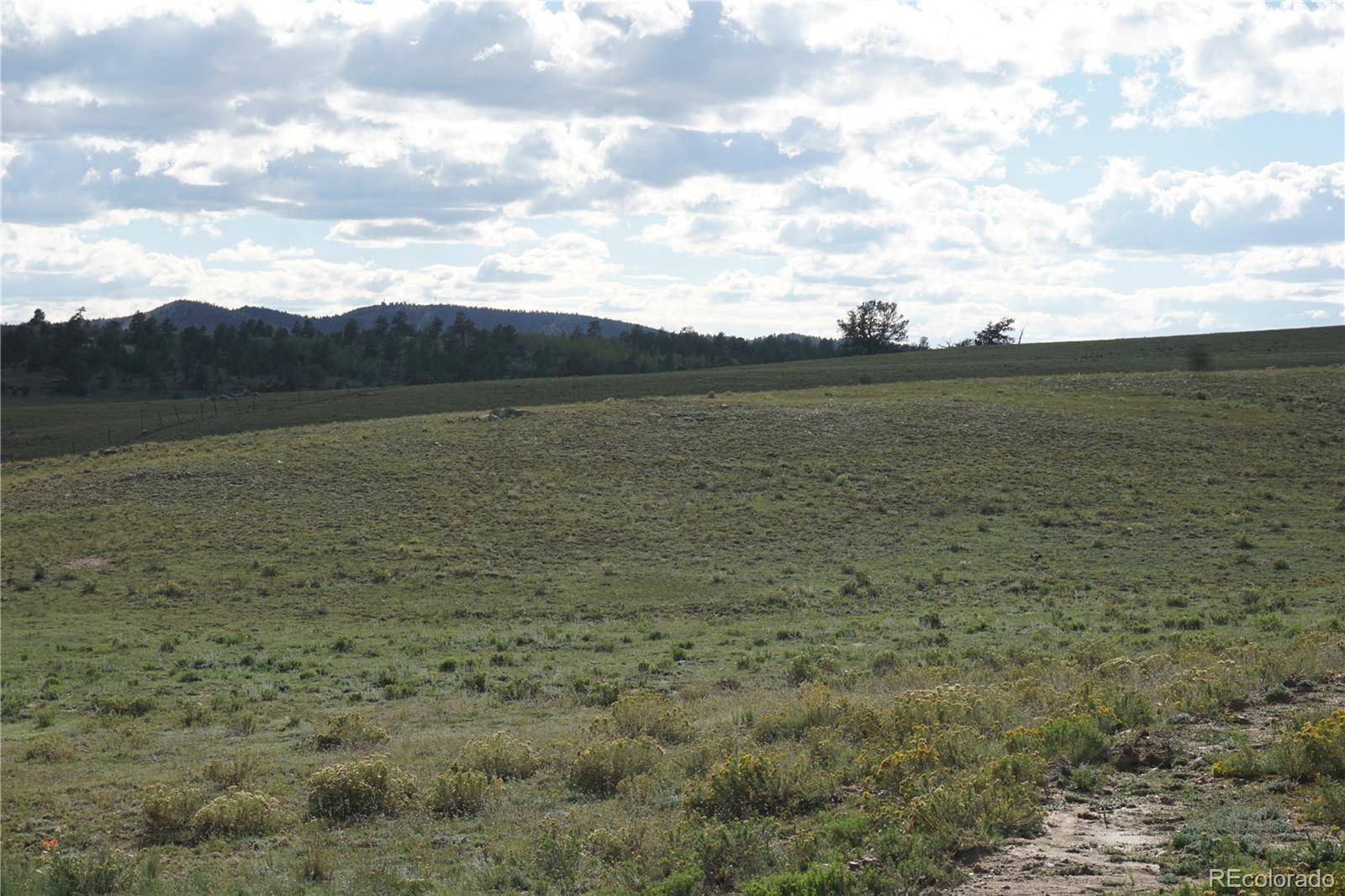 1022 Walls ST, Hartsel, CO 80449