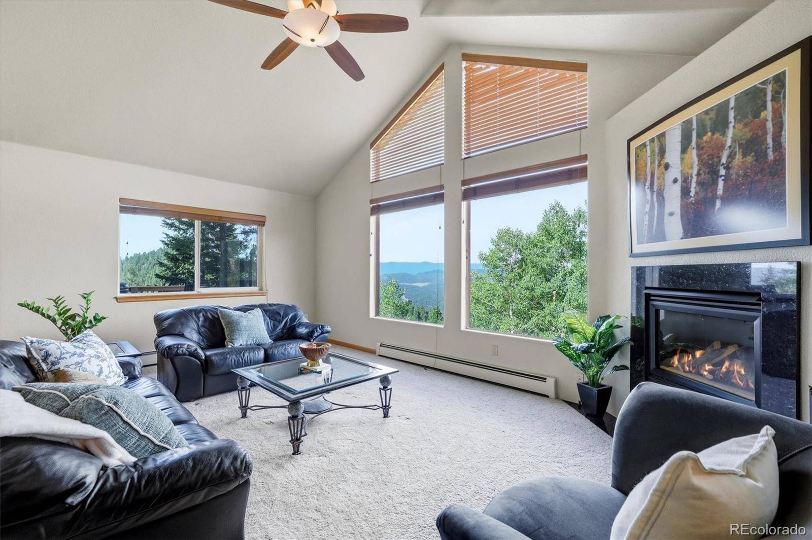 11756 Leavenworth DR, Conifer, CO 80433