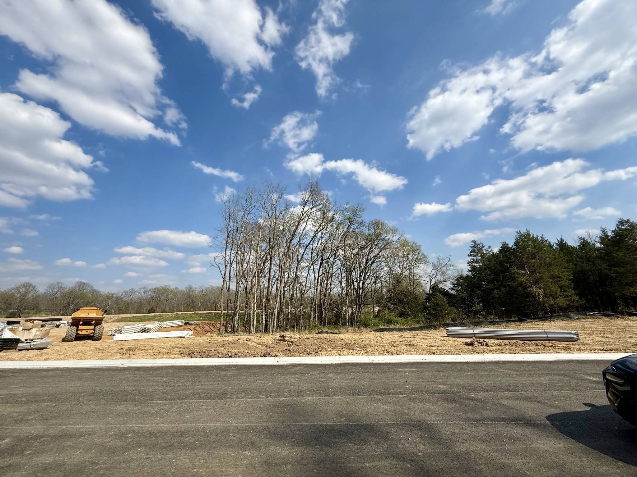 6316 Jenna Lane, Arrington, TN 37014