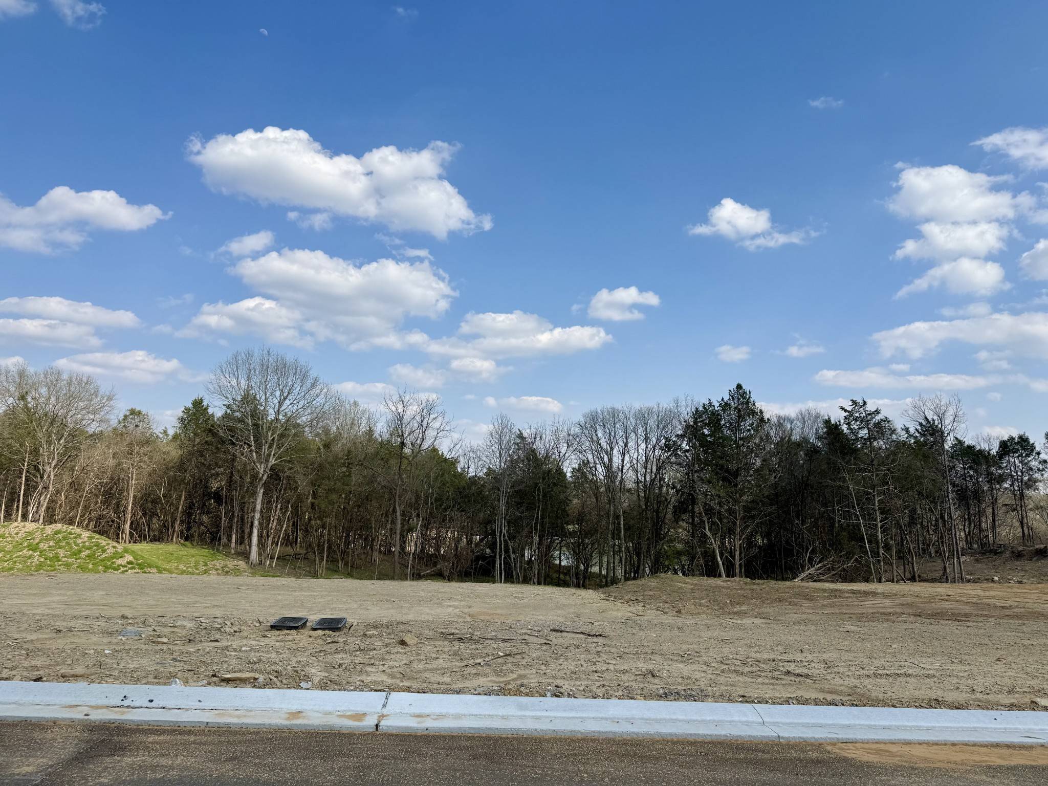 6108 St Charles Dr, Arrington, TN 37014