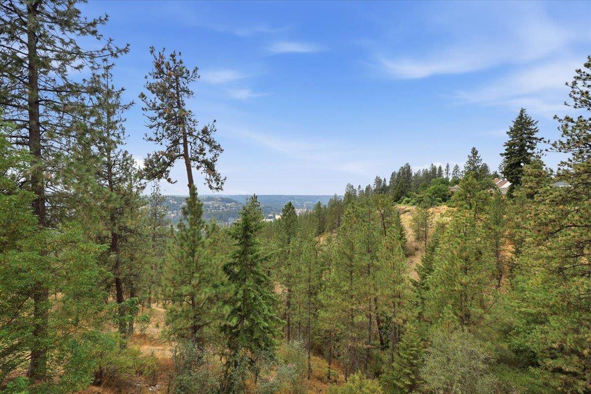 4406 S St Andrews Ln, Spokane, WA 99223