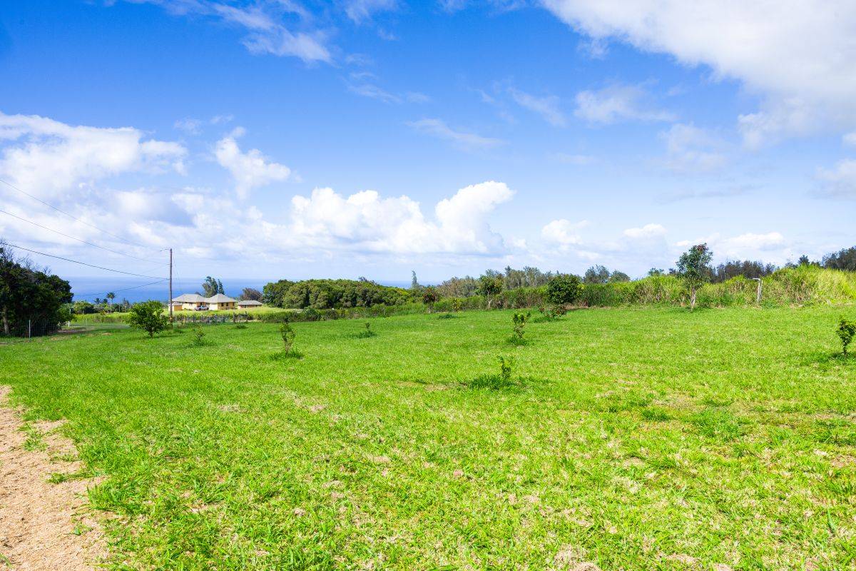54-1749 PAIPO KANE RD, Kapaau, HI 96755