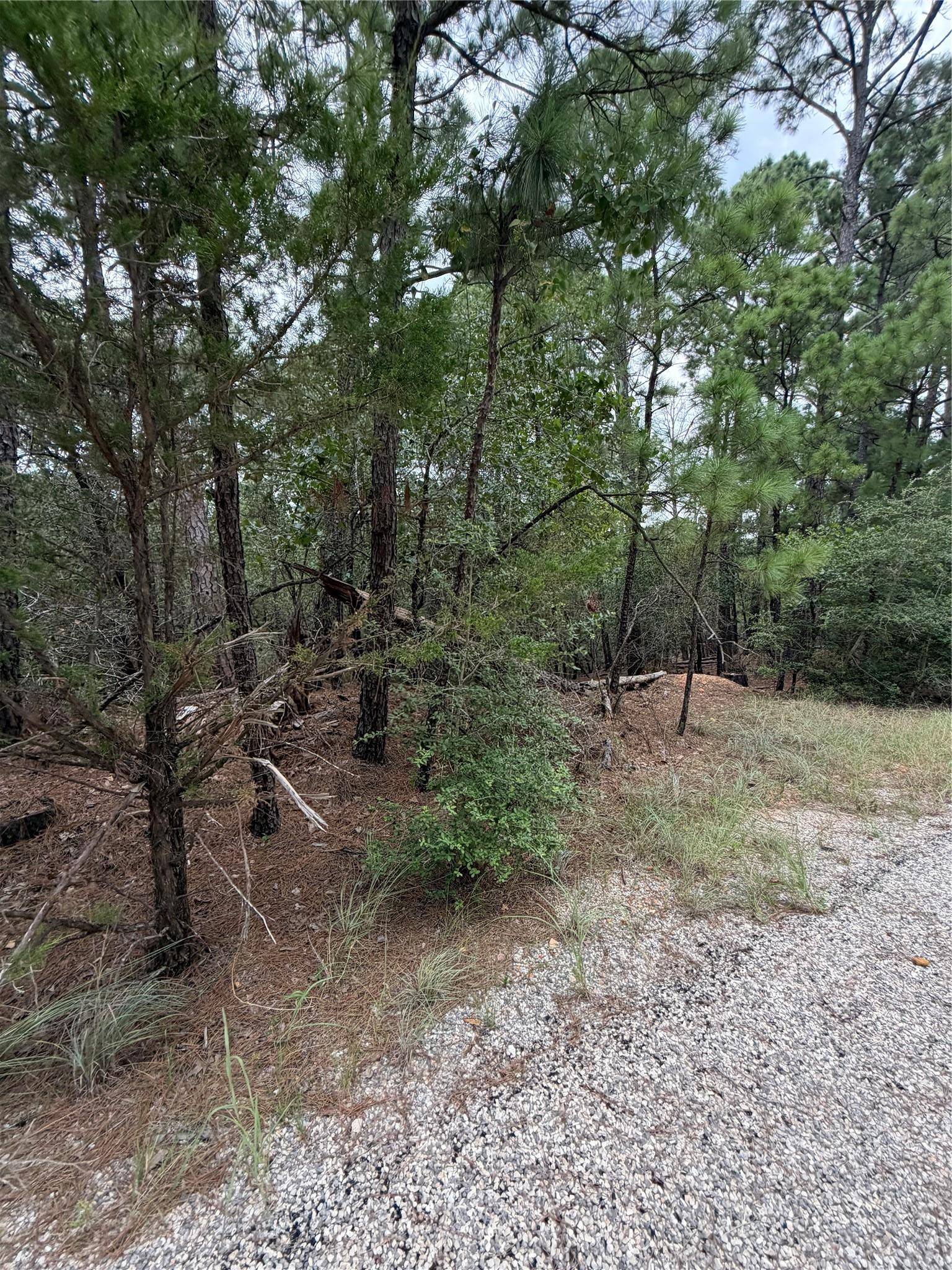 Lot 216 Hekili DR, Bastrop, TX 78602
