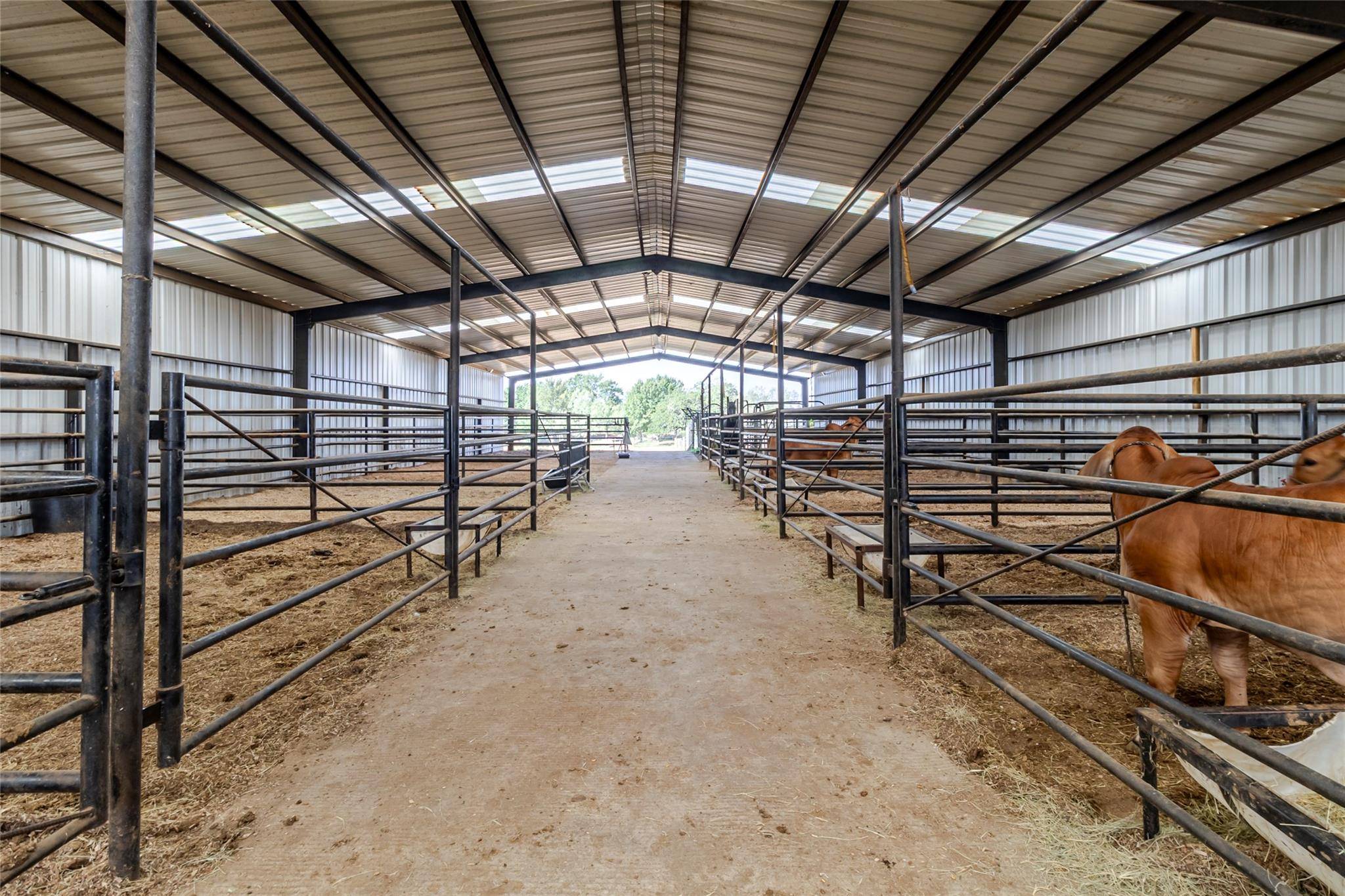 2015 TX-21, Paige, TX 78659