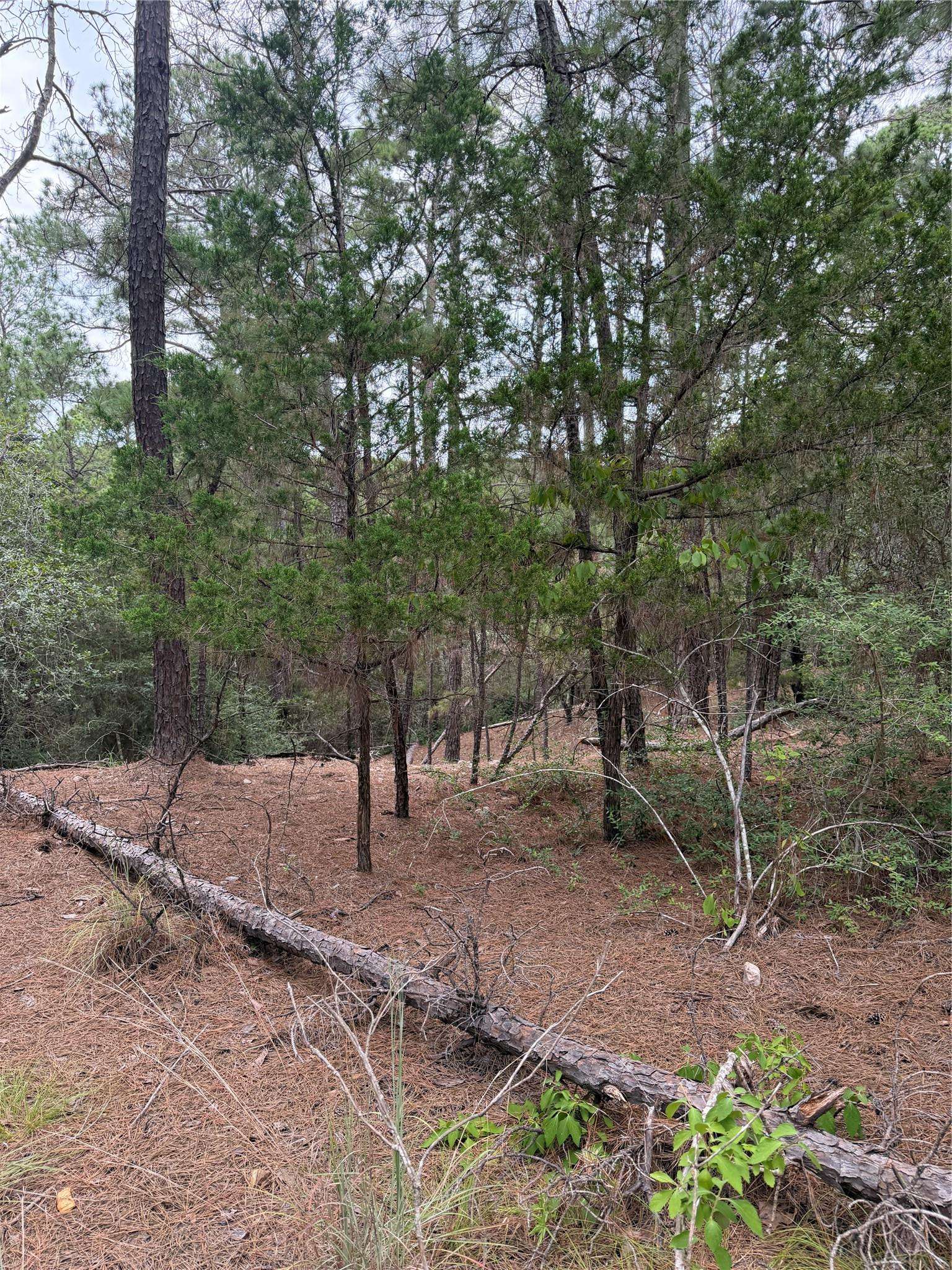 Lot 217 Hekili DR, Bastrop, TX 78602