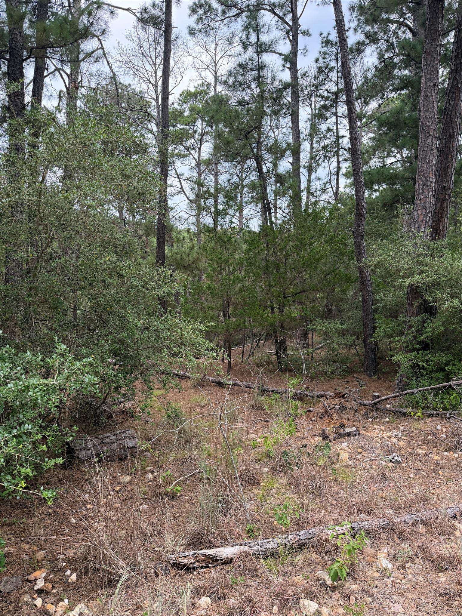 Lot 217 Hekili DR, Bastrop, TX 78602