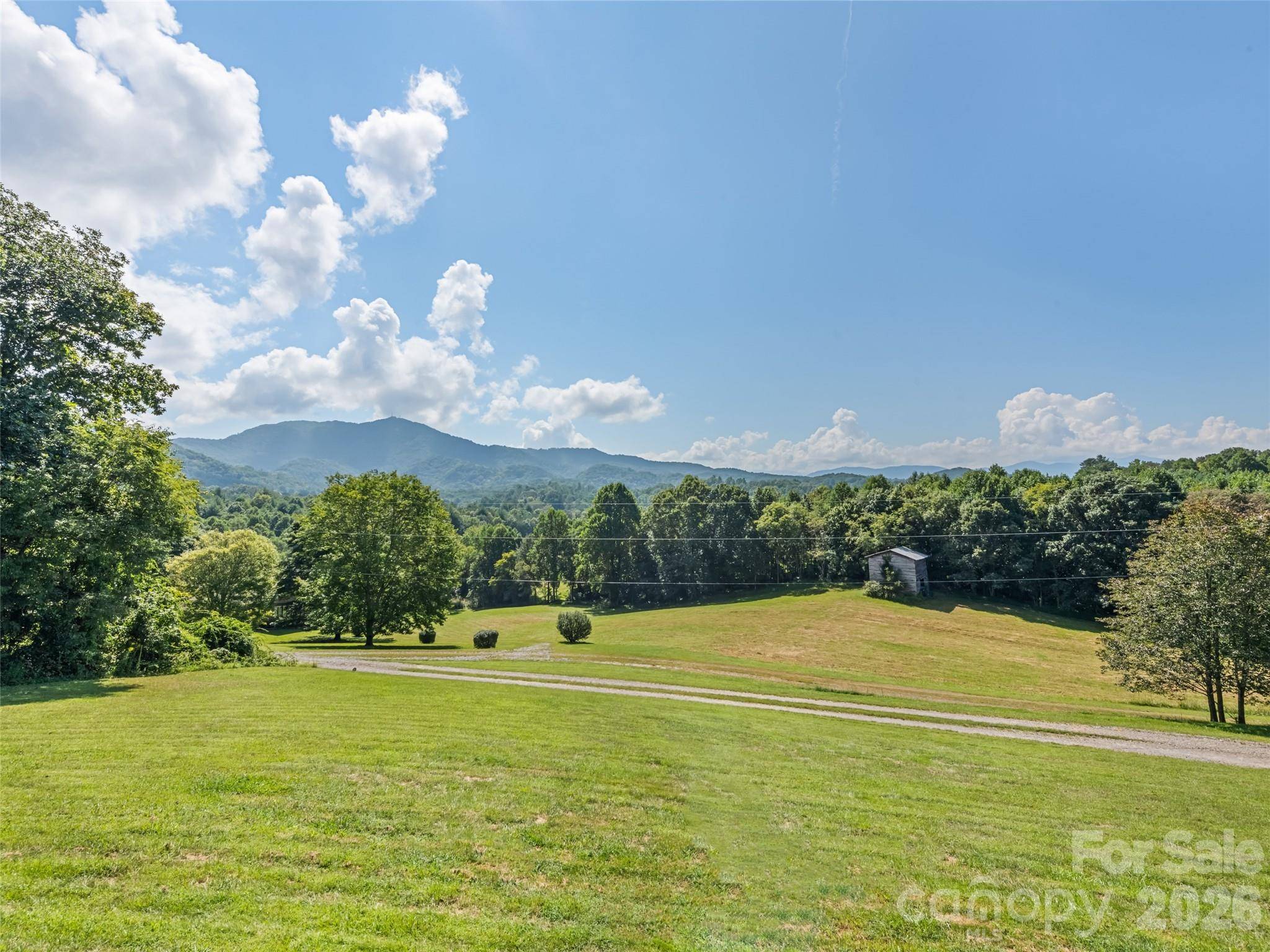 90 Blueberry Hill DR, Clyde, NC 28721