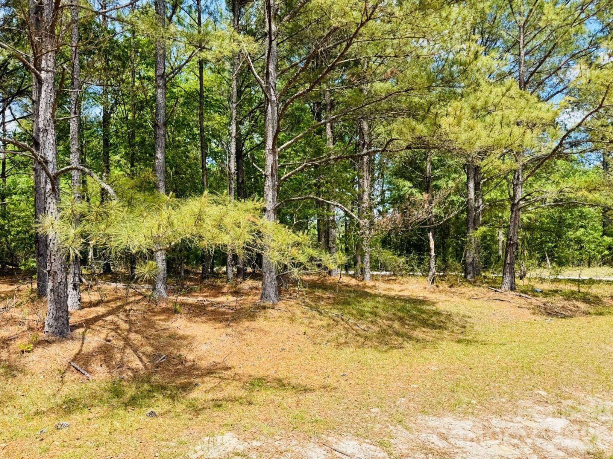 385 Elbert Baskins RD, Cheraw, SC 29520