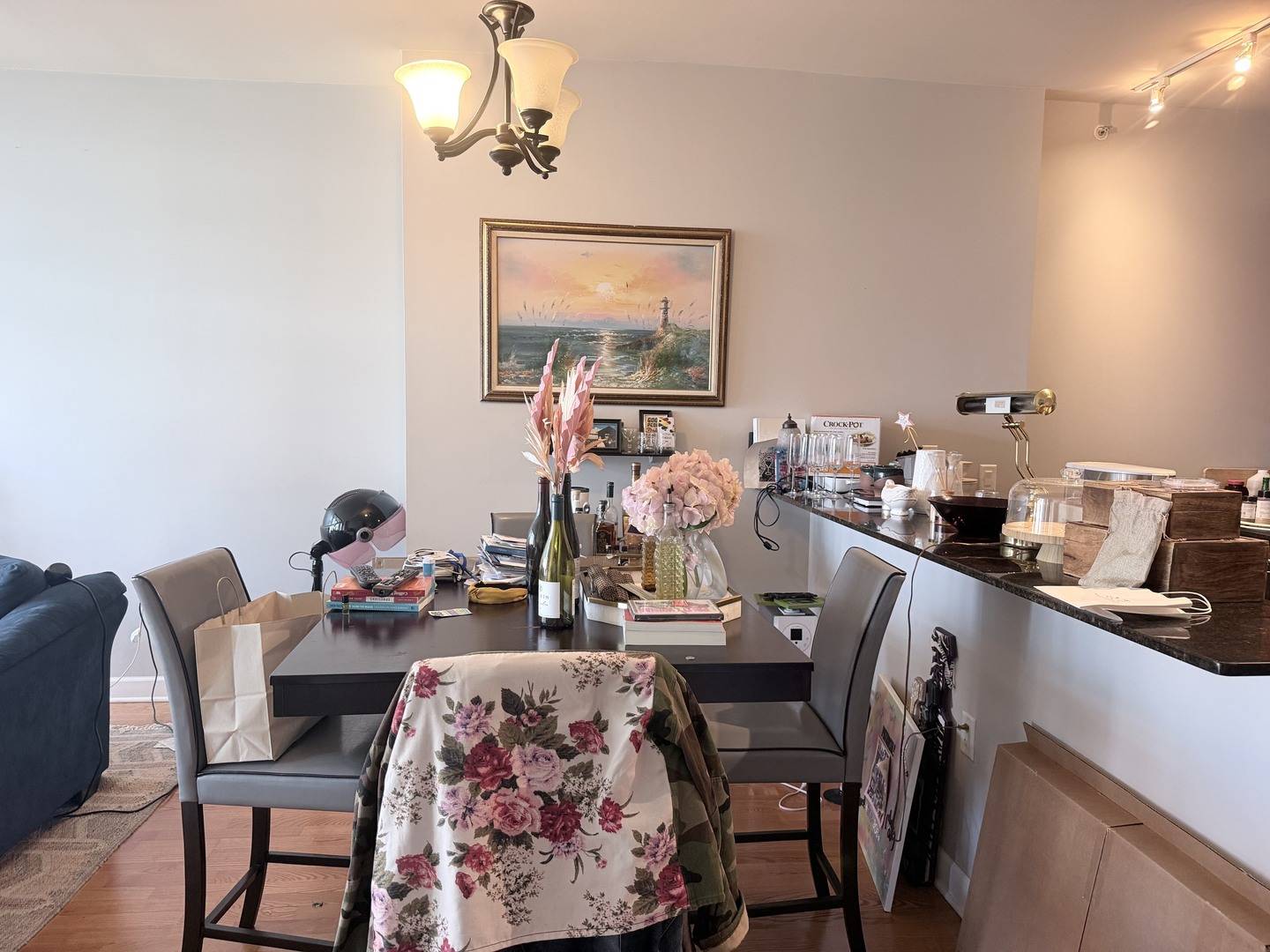1235 S Prairie AVE #1206, Chicago, IL 60605