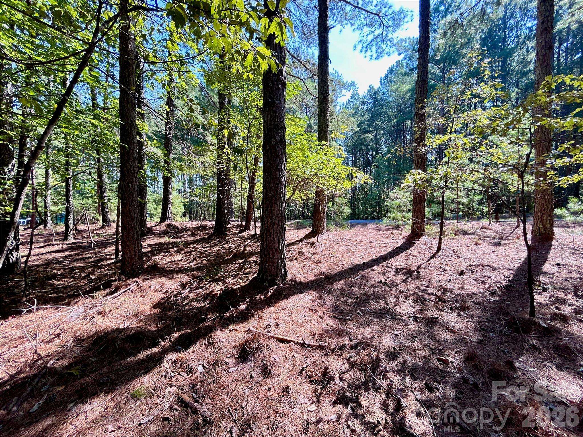1461 Cordova DR, Connelly Springs, NC 28612