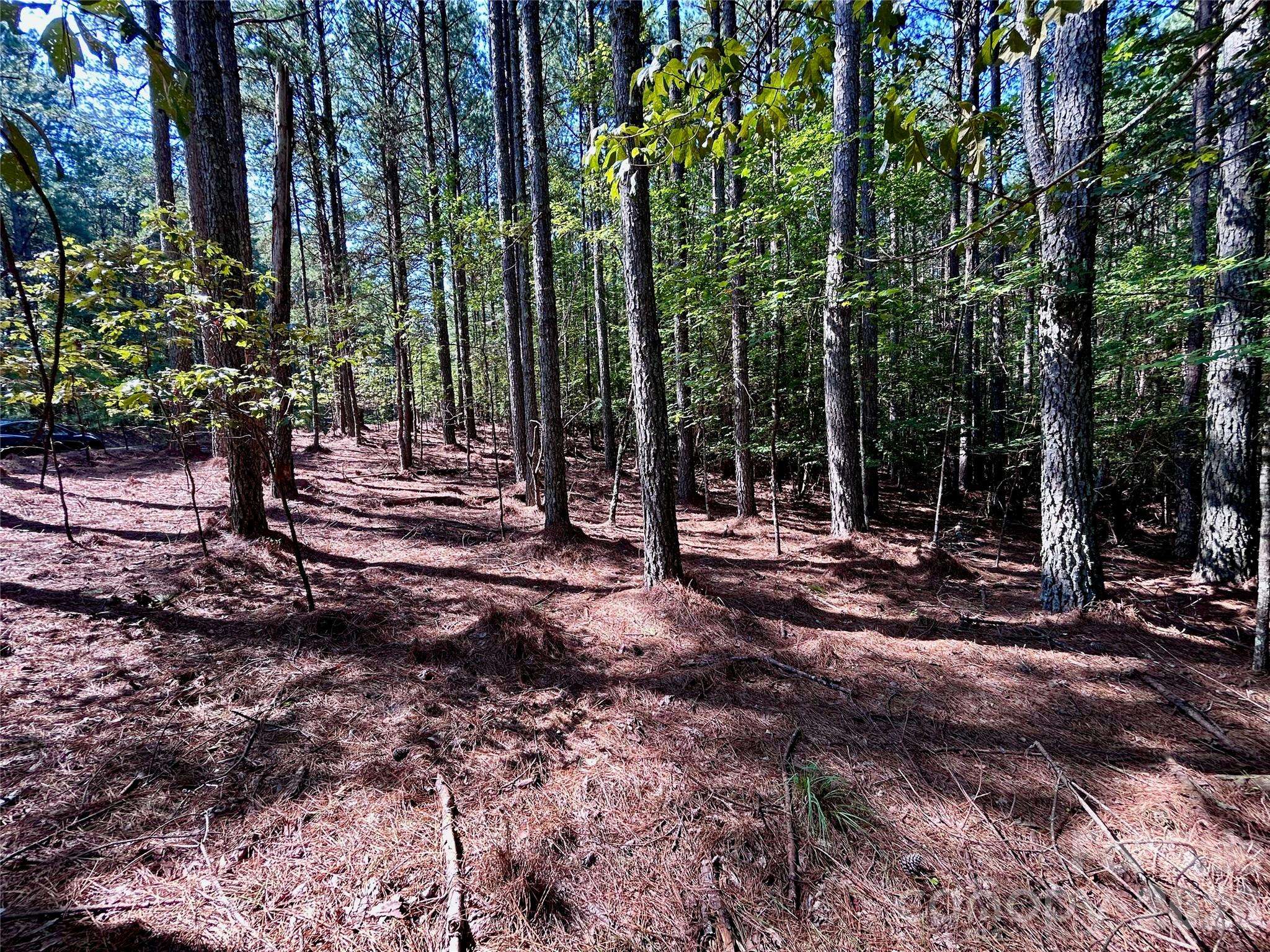1461 Cordova DR, Connelly Springs, NC 28612