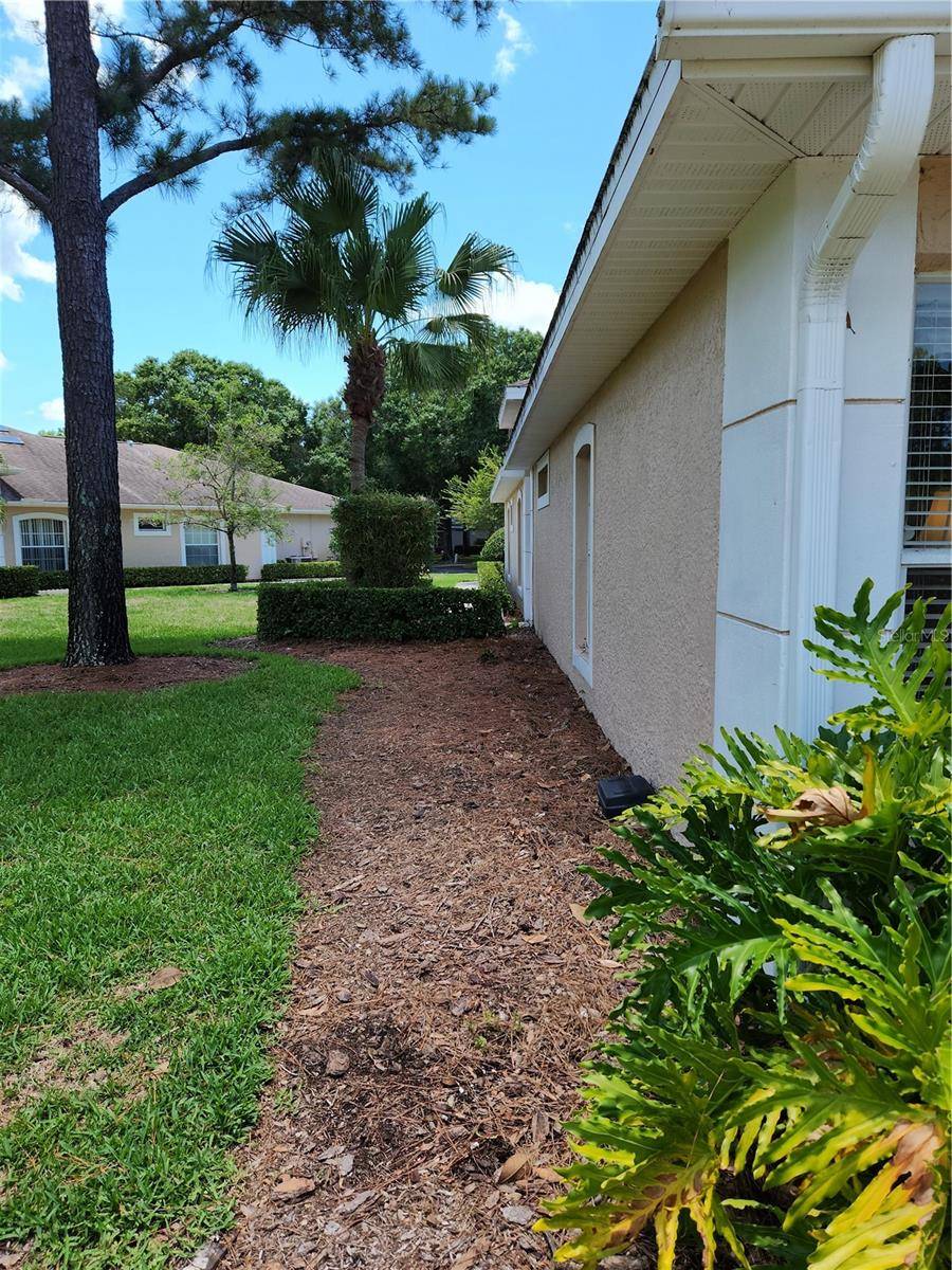 4503 CONNERY CT, Palm Harbor, FL 34685
