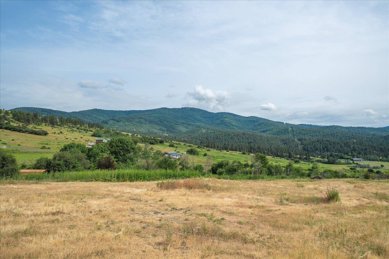 3615 S Molter Rd, Liberty Lake, WA 99019