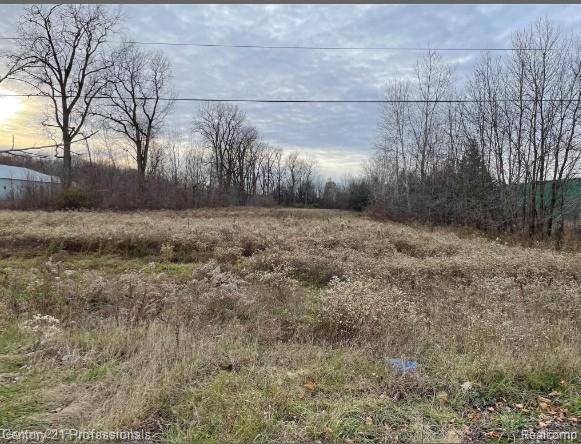 0 Van Dyke RD, Almont Township, MI 48003