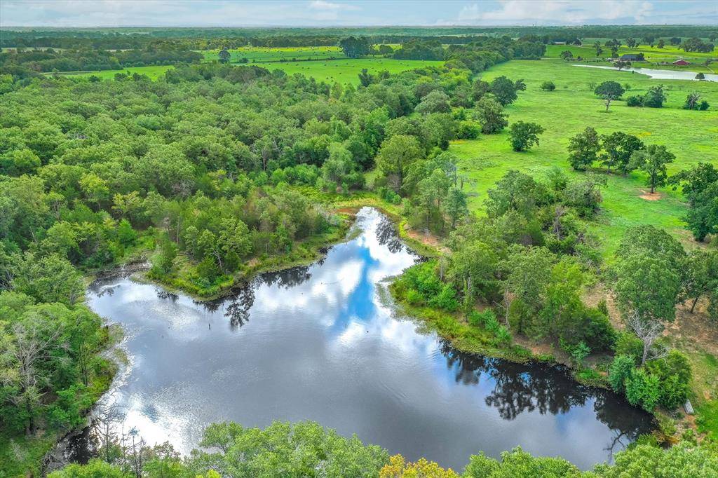 80 +/- Acres Private Road 5317, Grand Saline, TX 75140