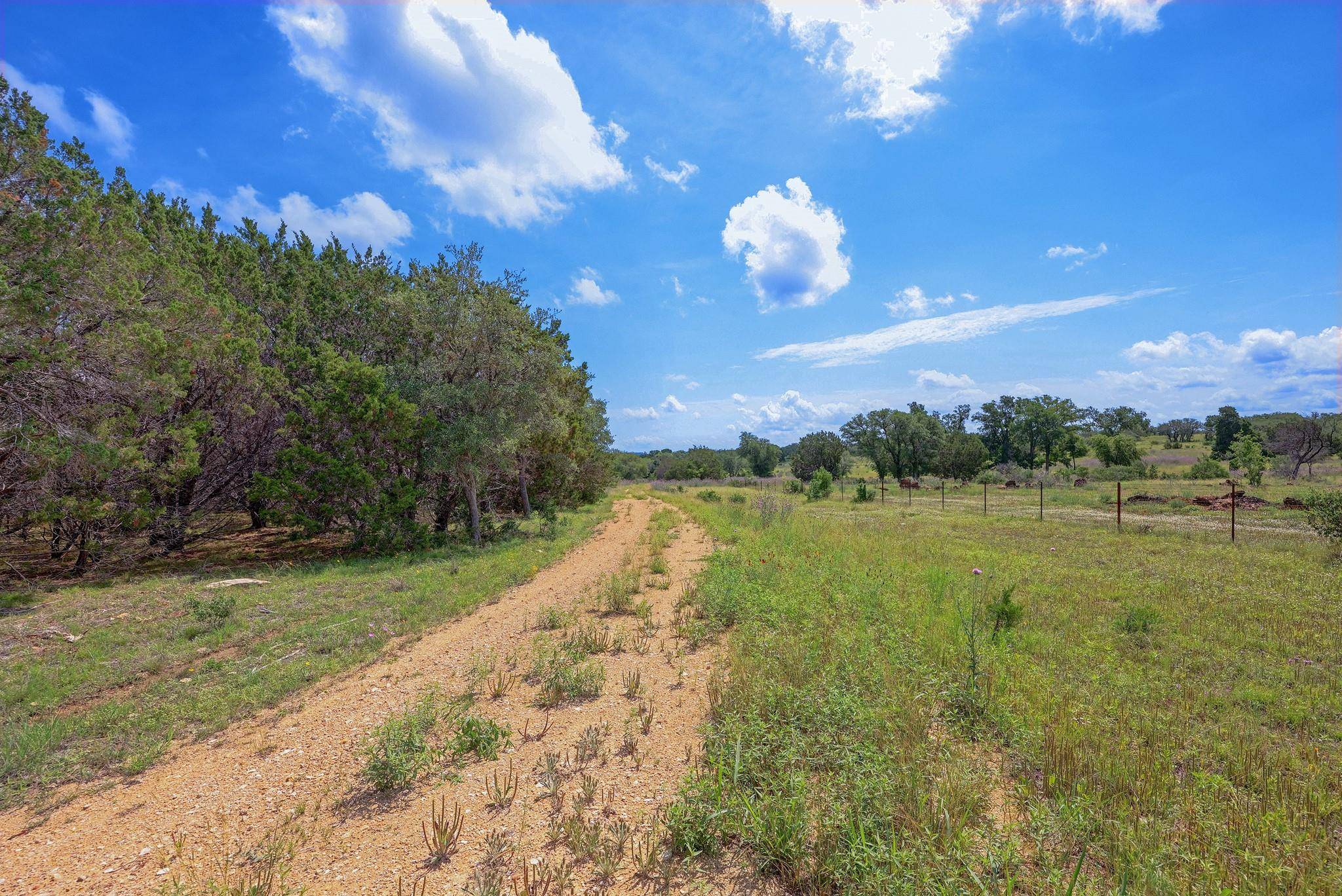 19131 Wolfridge RD, Killeen, TX 76549