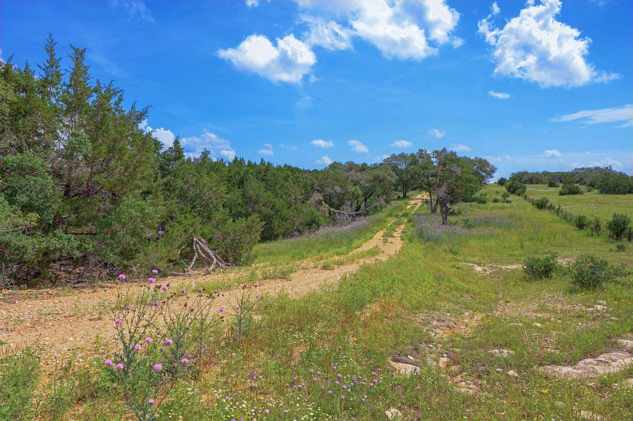 19131 Wolfridge RD, Killeen, TX 76549