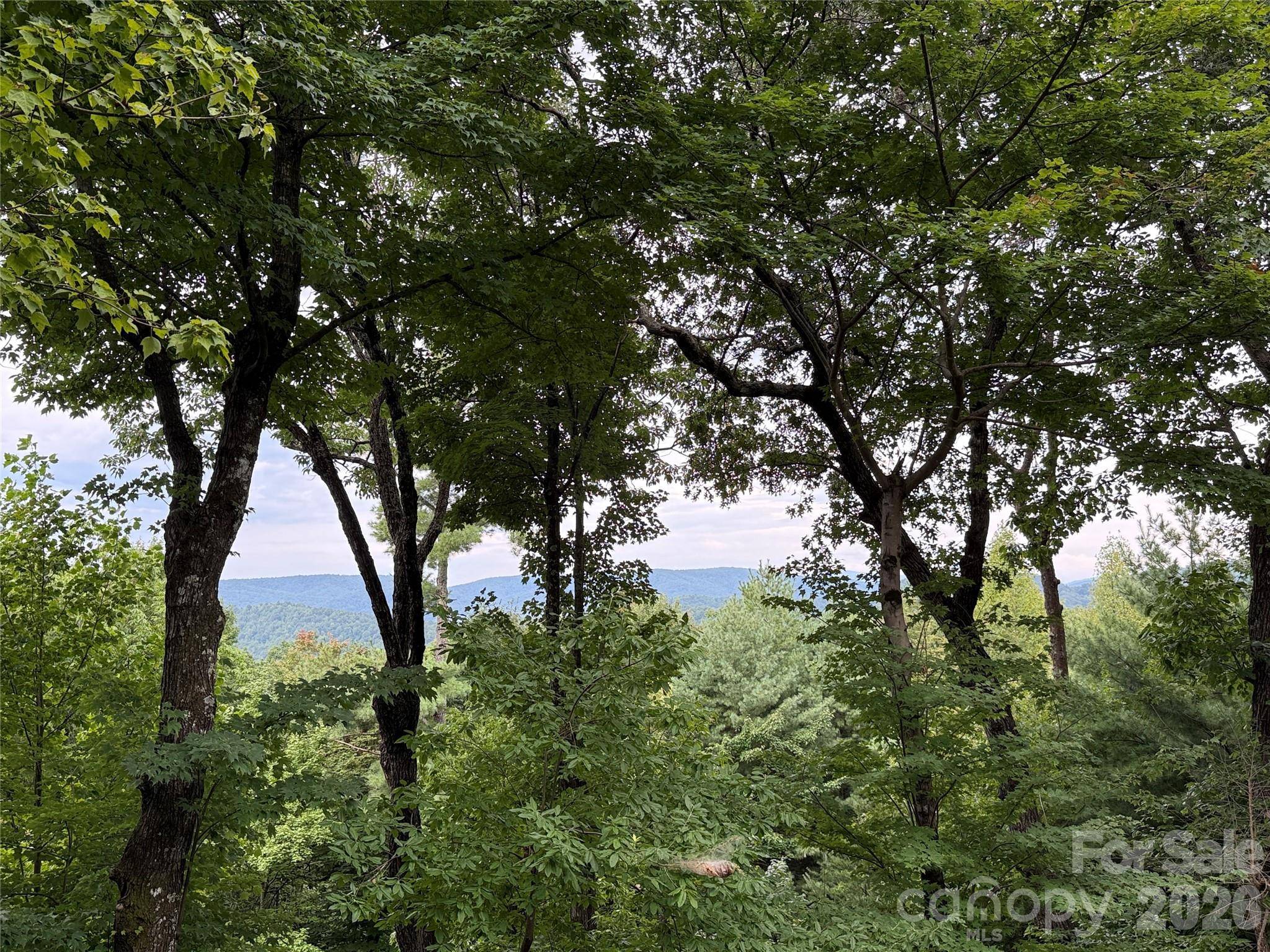 142 Fawn LN, Purlear, NC 28665