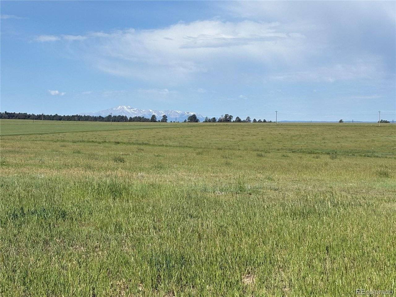 Parcel 4 County Road 33, Elbert, CO 80106