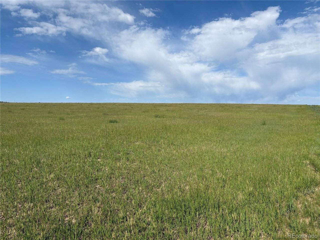 Parcel 4 County Road 33, Elbert, CO 80106