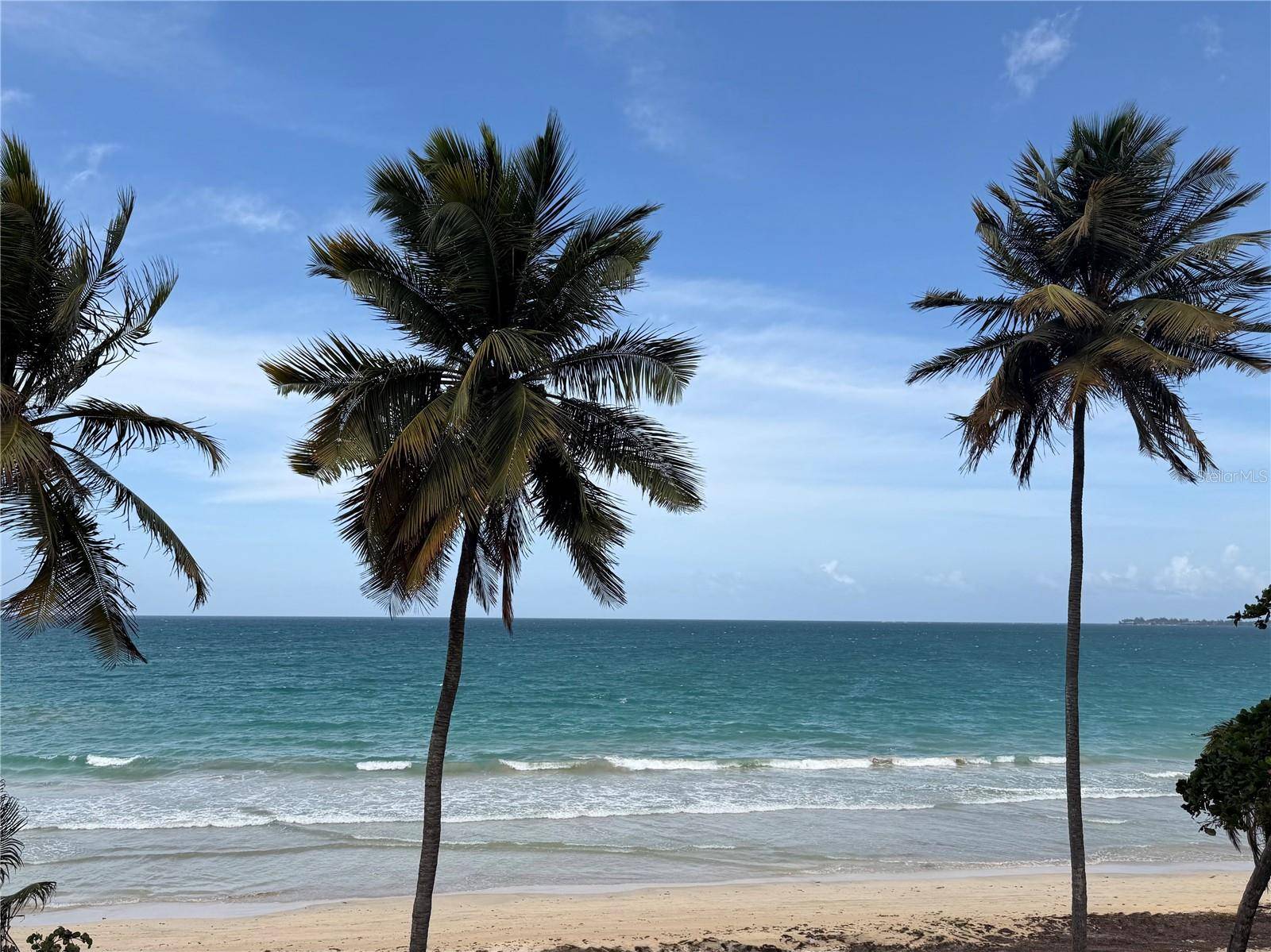 3409 AVE ISLA VERDE #203, Carolina, PR 00979