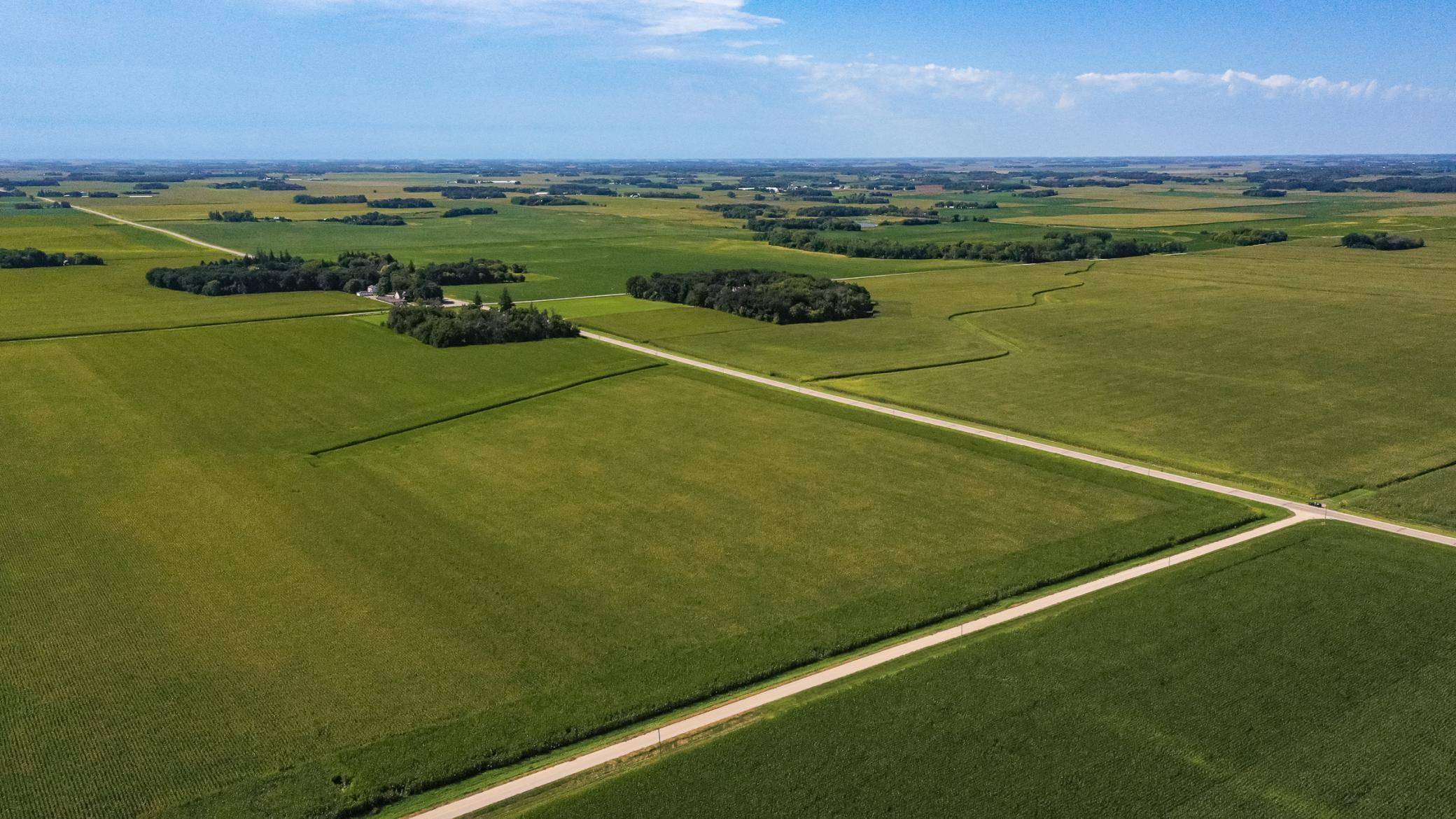 TBD mower/freeborn rd, Blooming Prairie, MN 55917