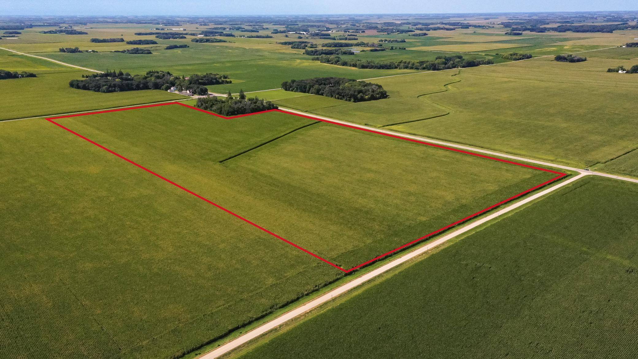 TBD mower/freeborn rd, Blooming Prairie, MN 55917