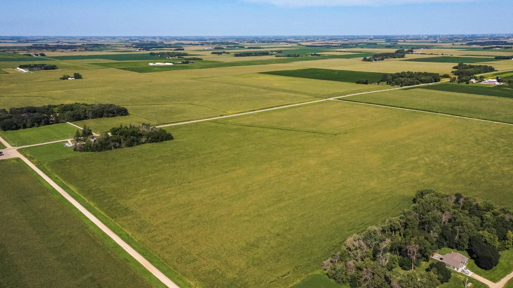 TBD mower/freeborn rd, Blooming Prairie, MN 55917
