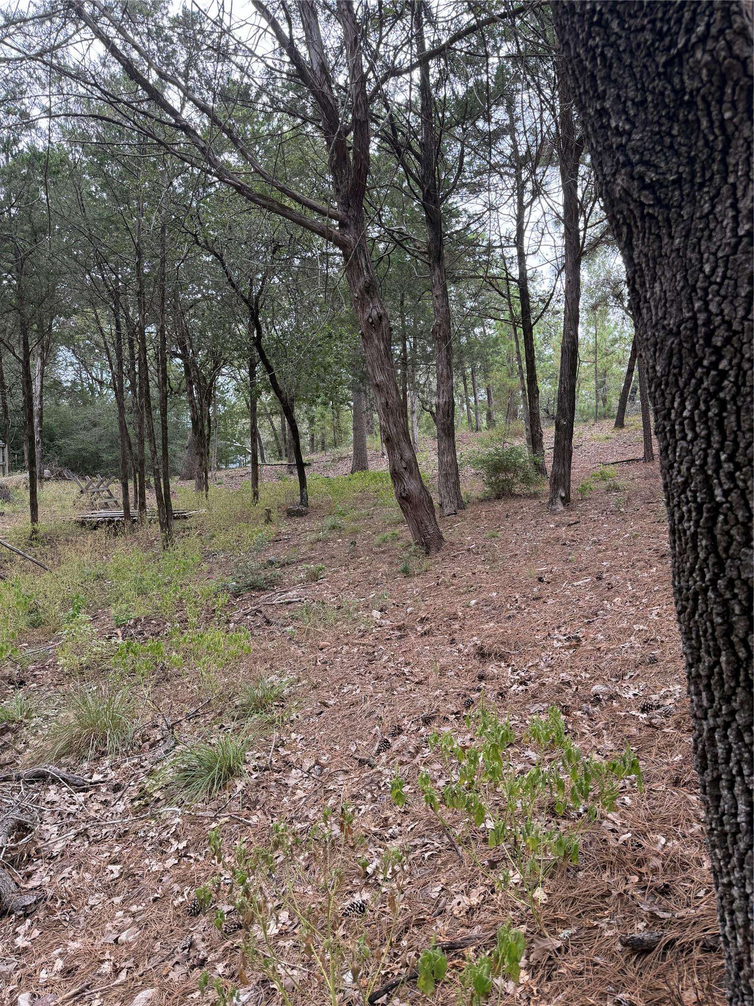 Multiple Lots Aka CT, Bastrop, TX 78602