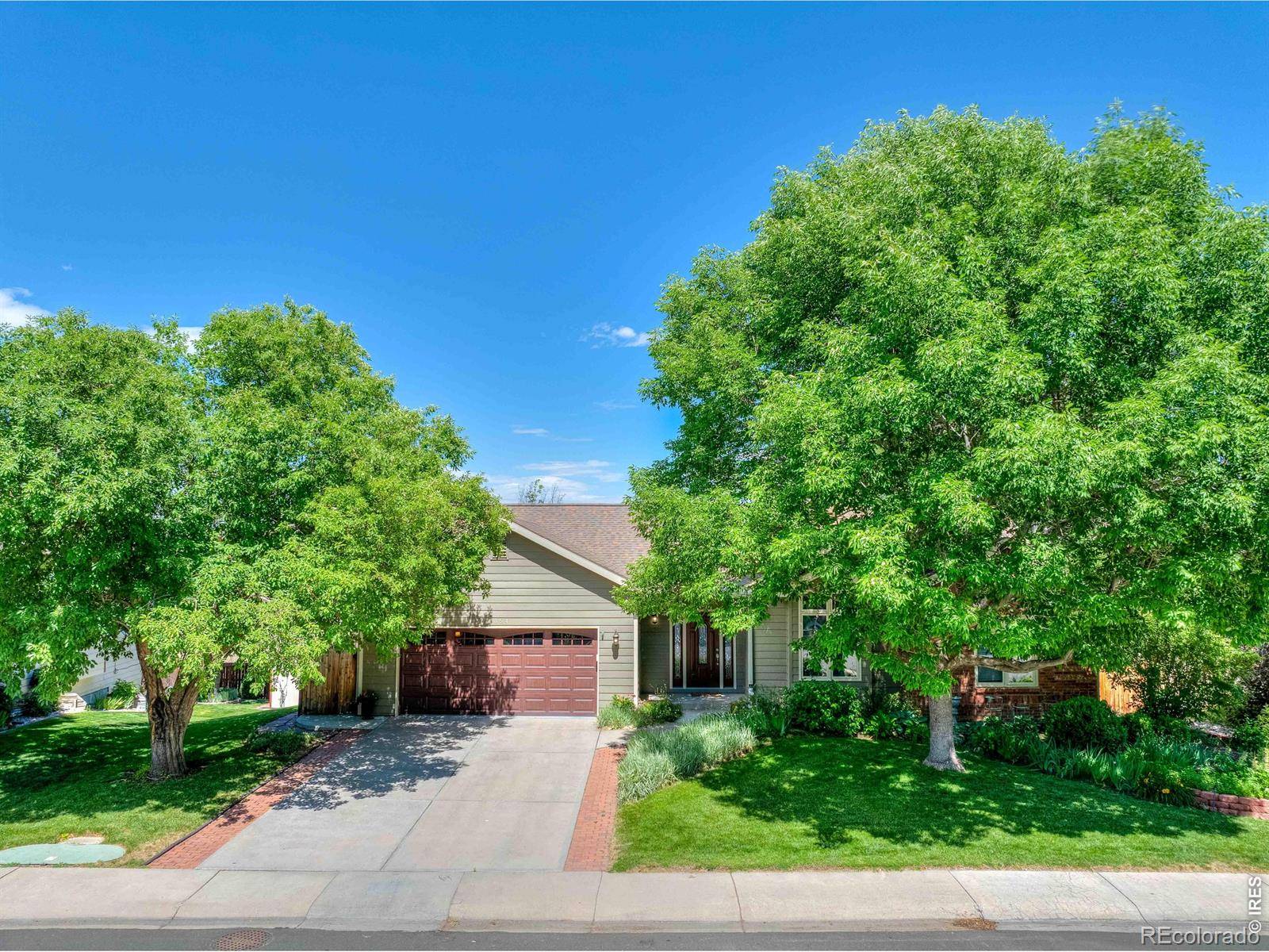 6354 Buchanan ST, Fort Collins, CO 80525