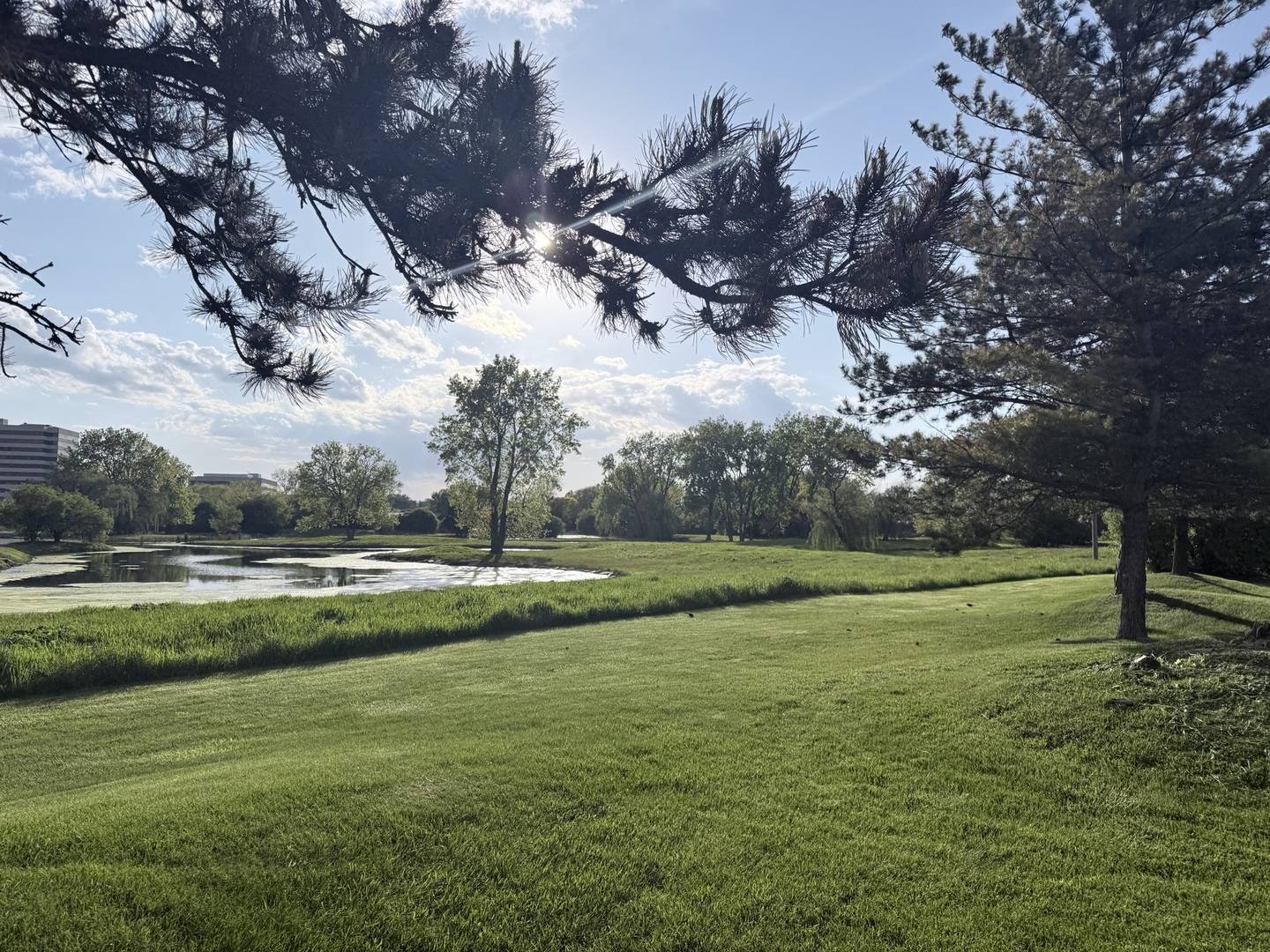1S476 Renaissance BLVD, Oak Brook, IL 60523