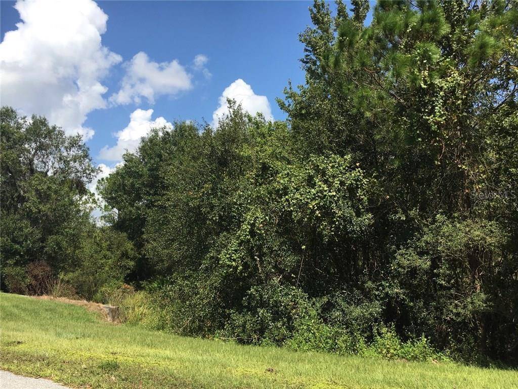 41025 E 20TH PL, Myakka City, FL 34251