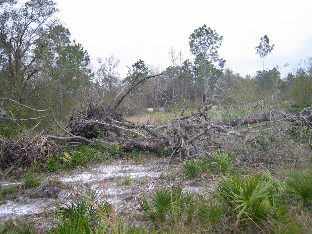 41025 E 20TH PL, Myakka City, FL 34251
